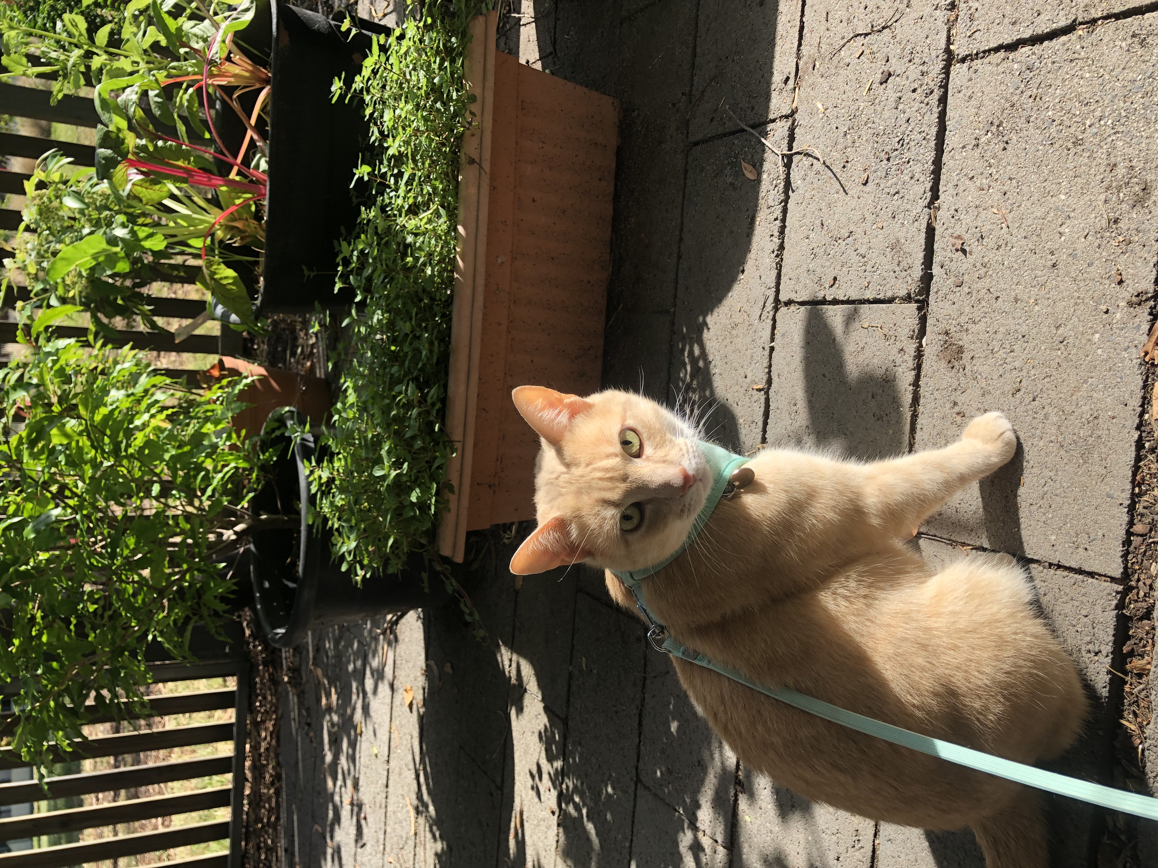 image-6