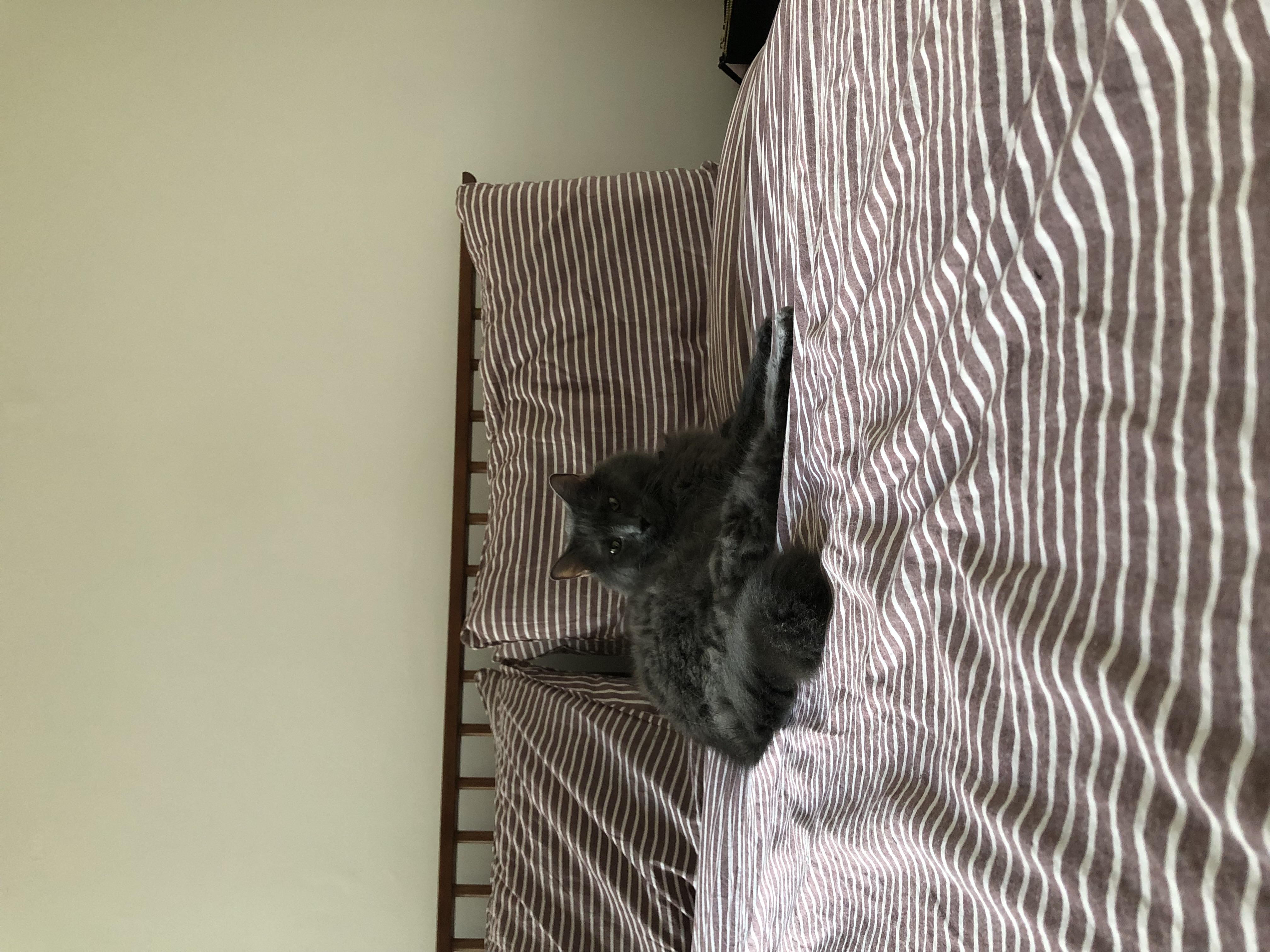 image-8