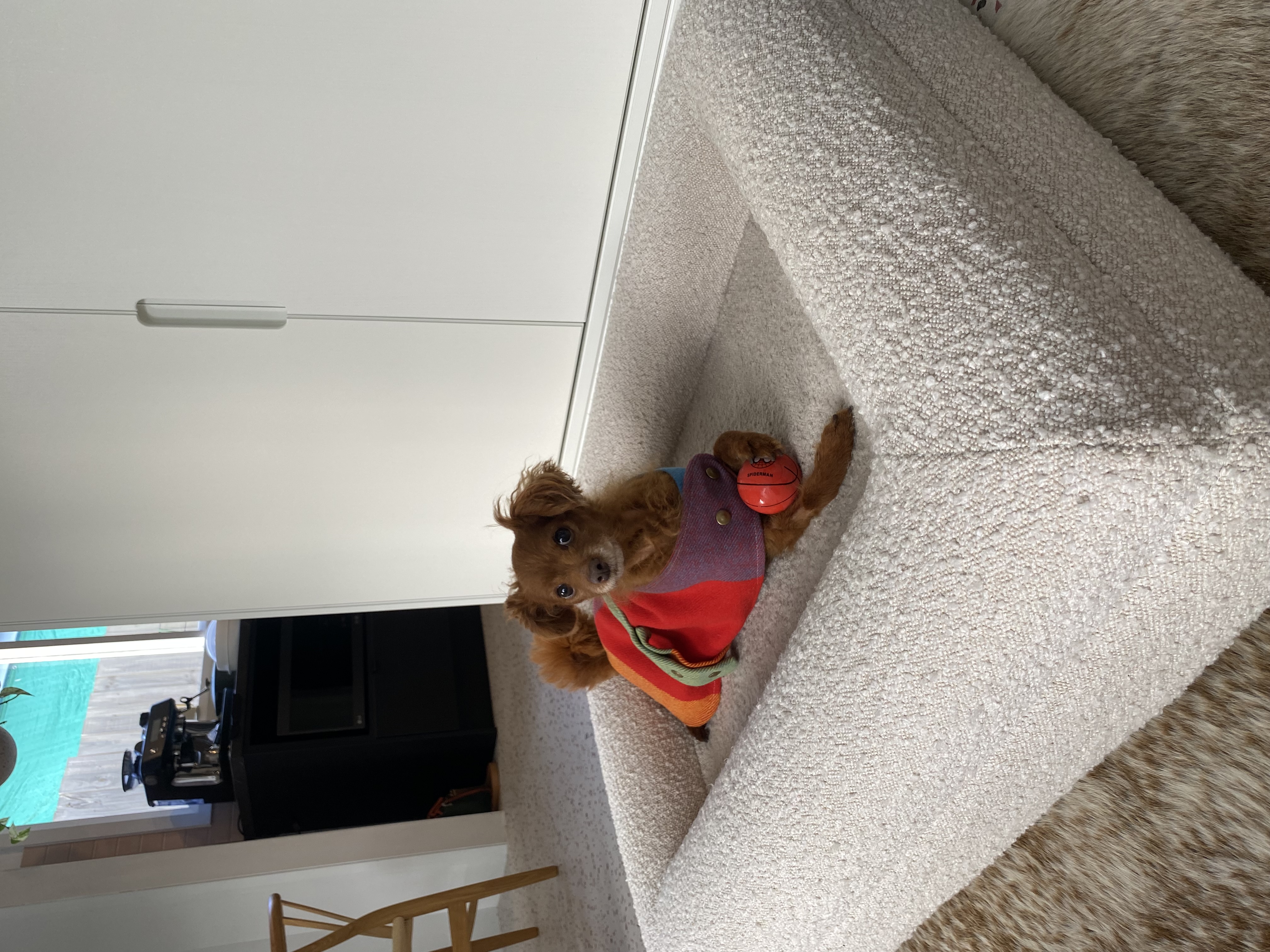 image-4