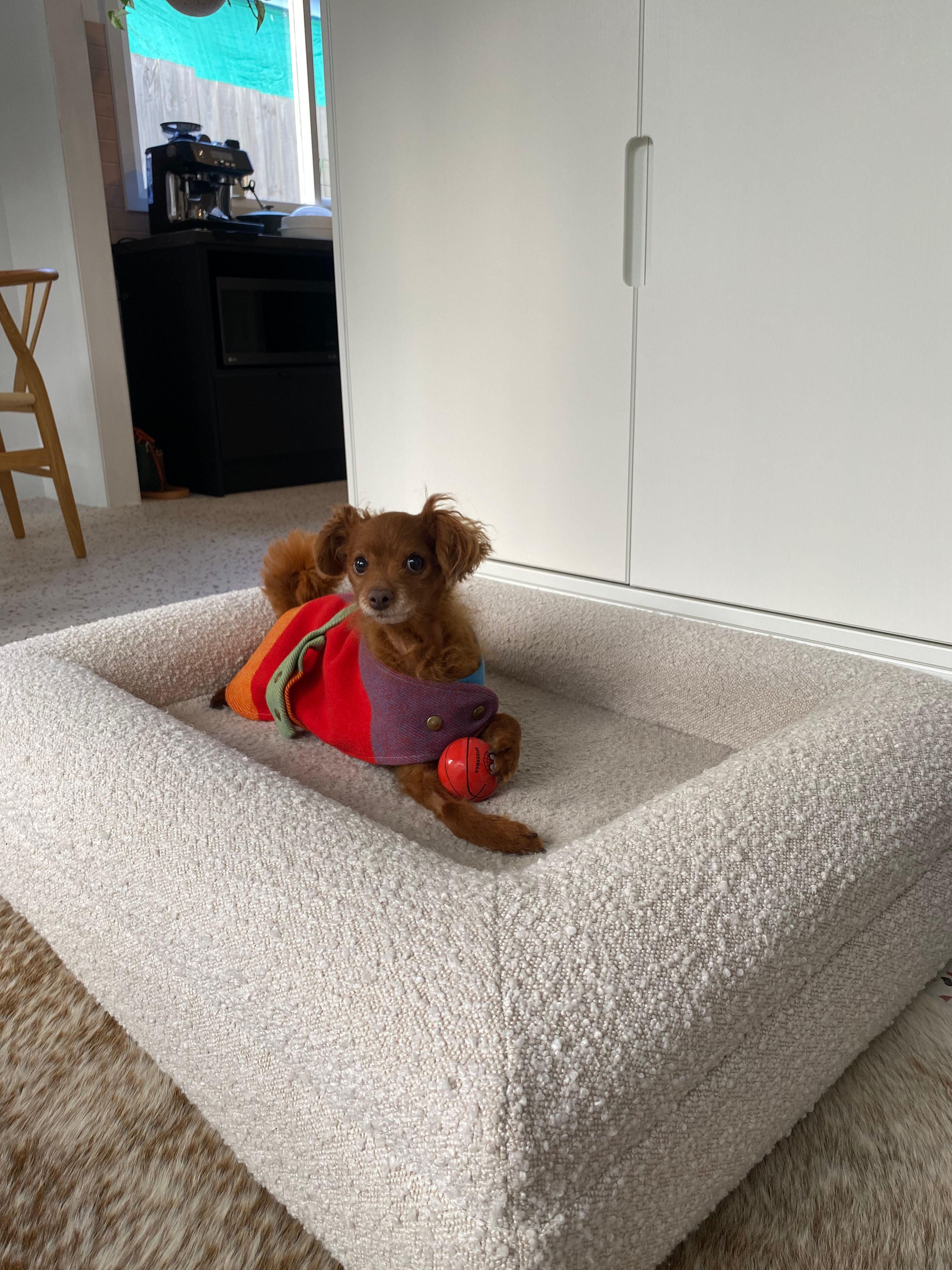 image-4