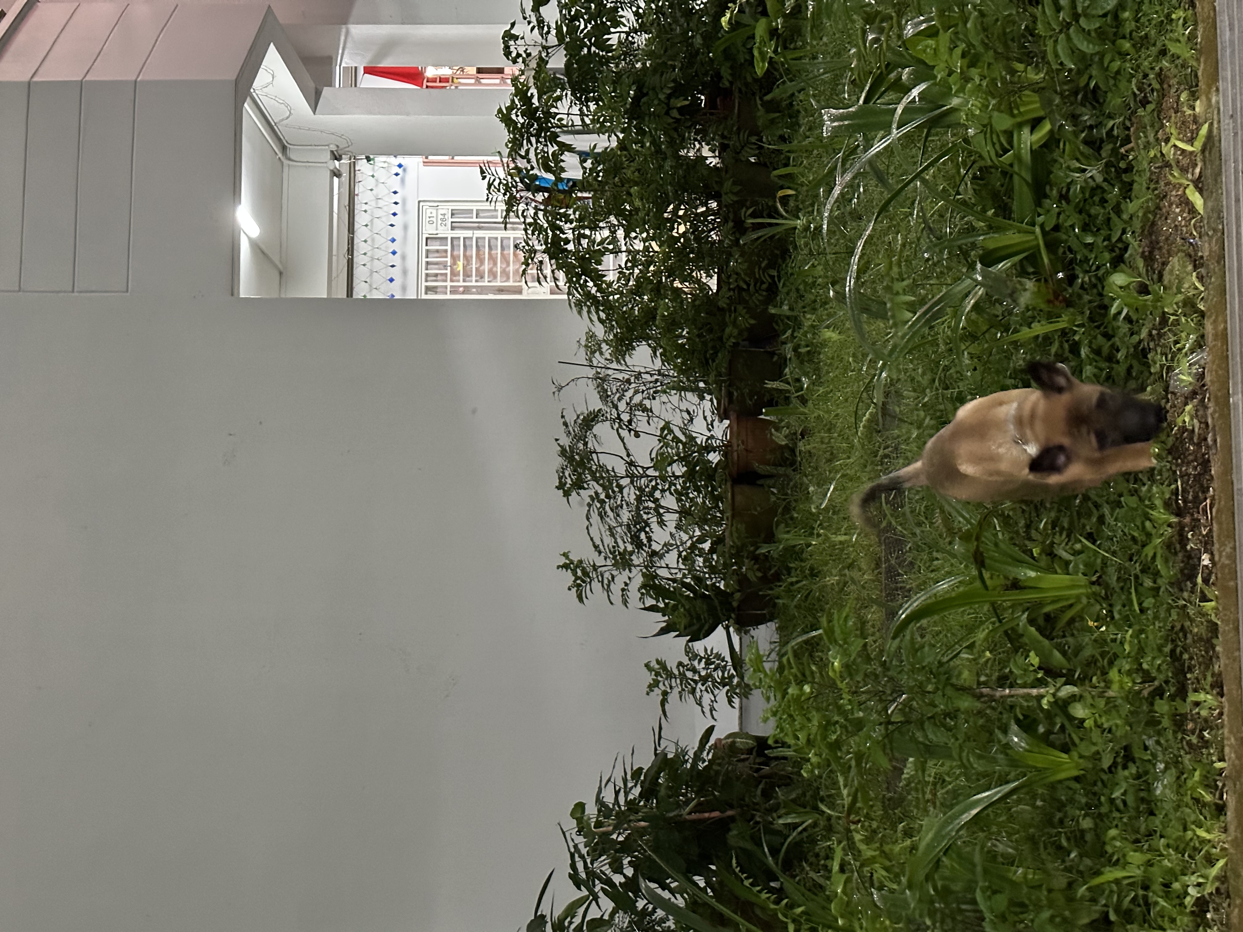 image-17
