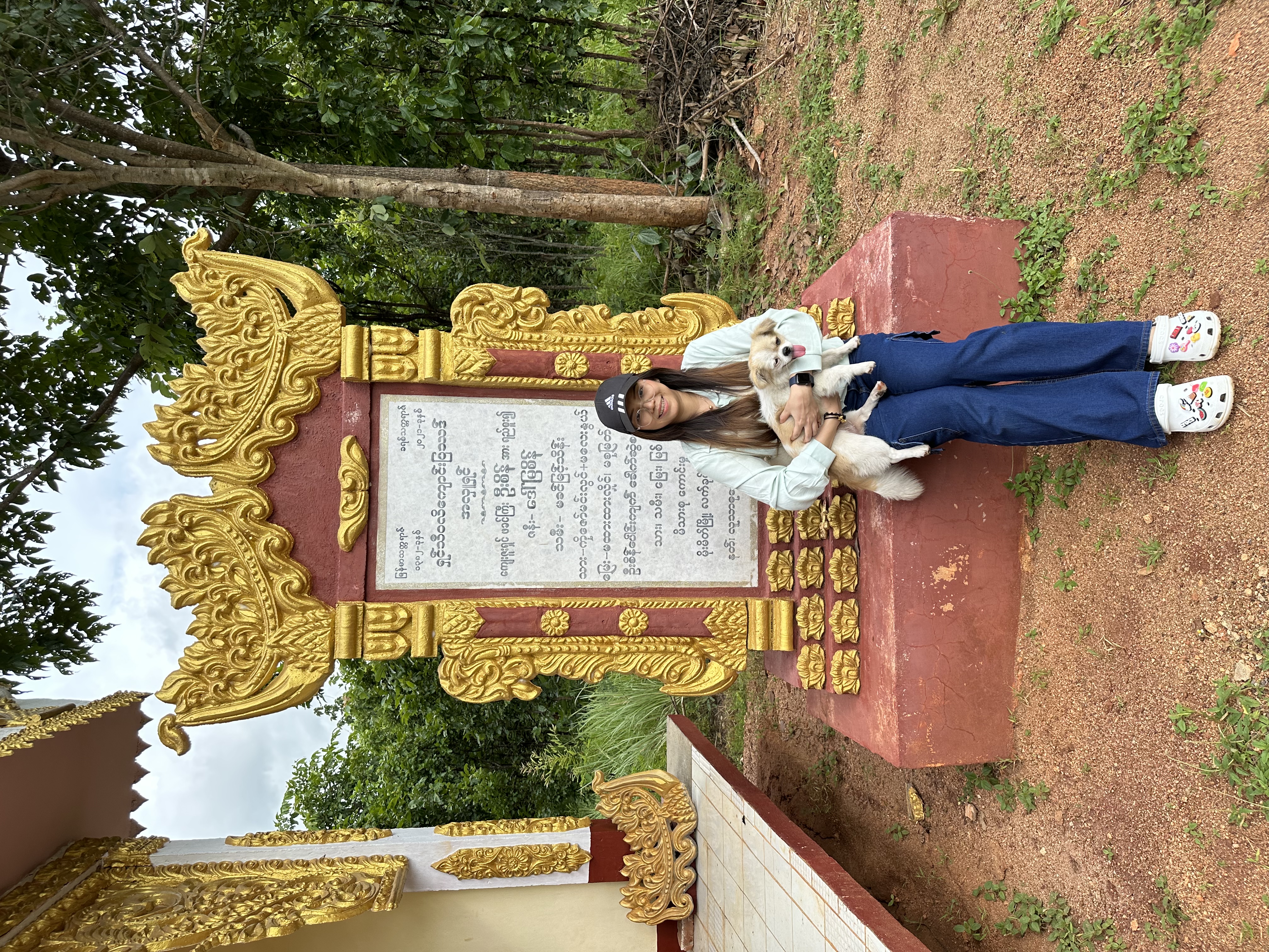 image-13