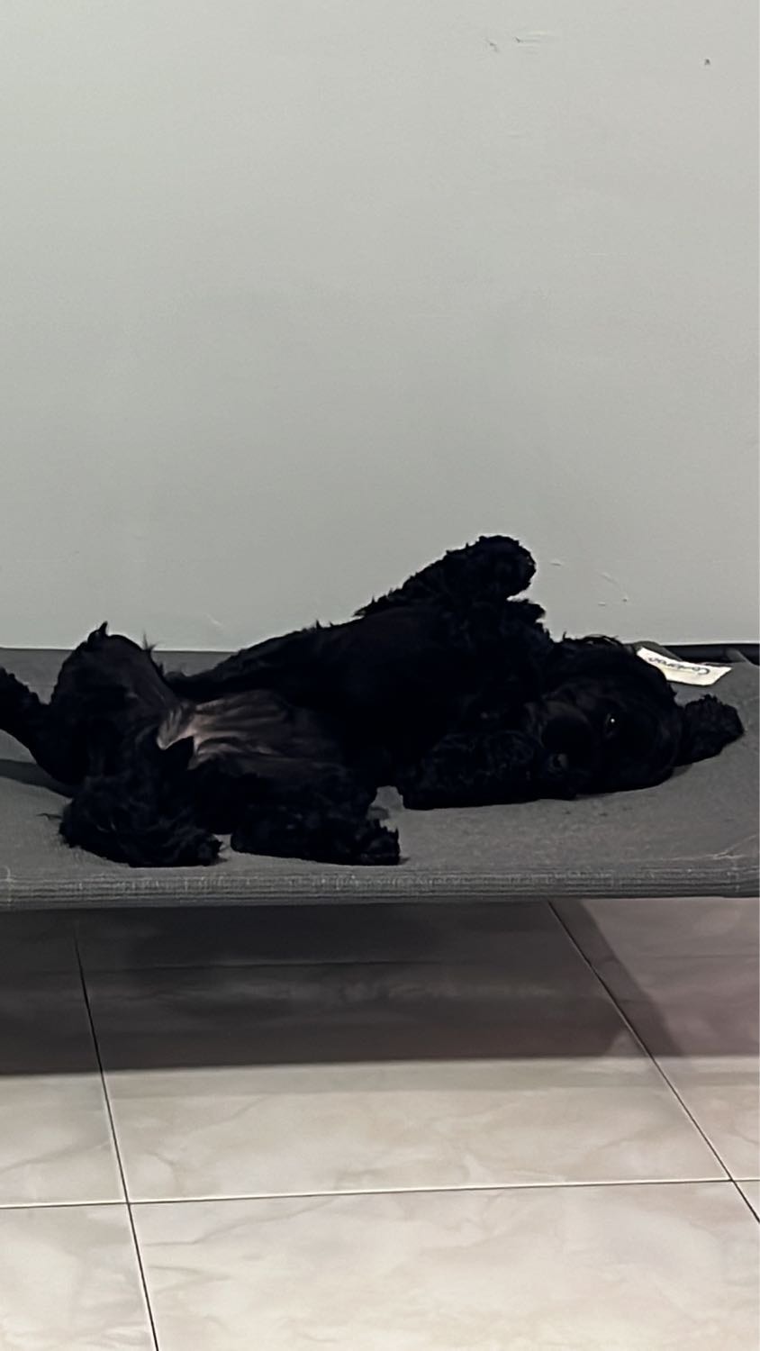 image-8