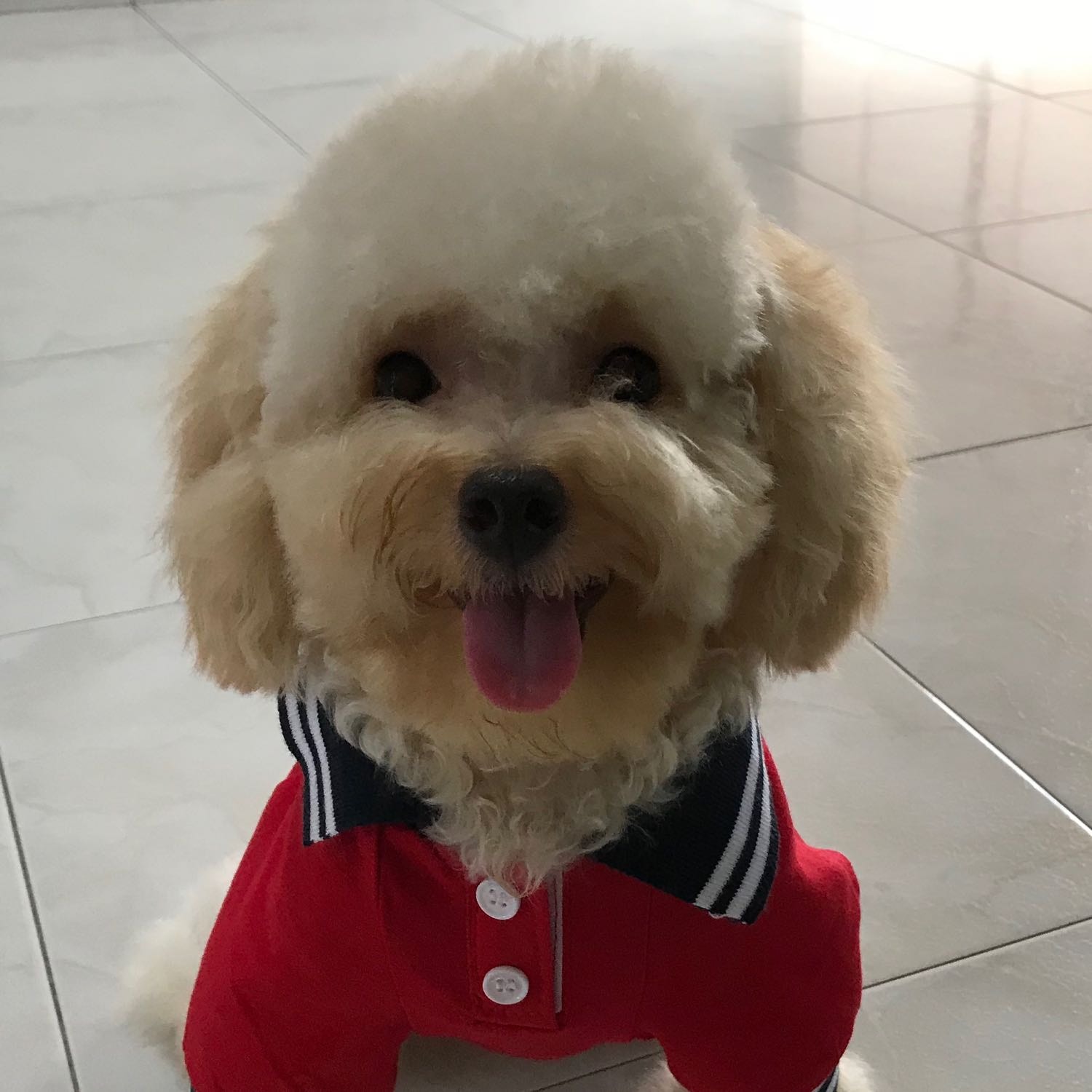 Happy