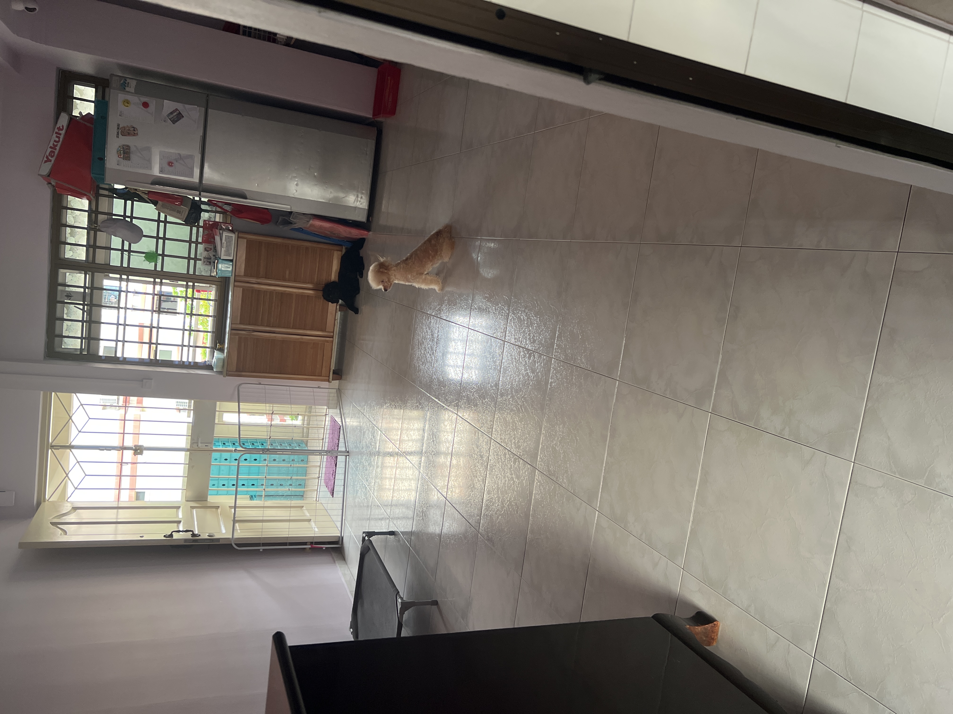 image-20