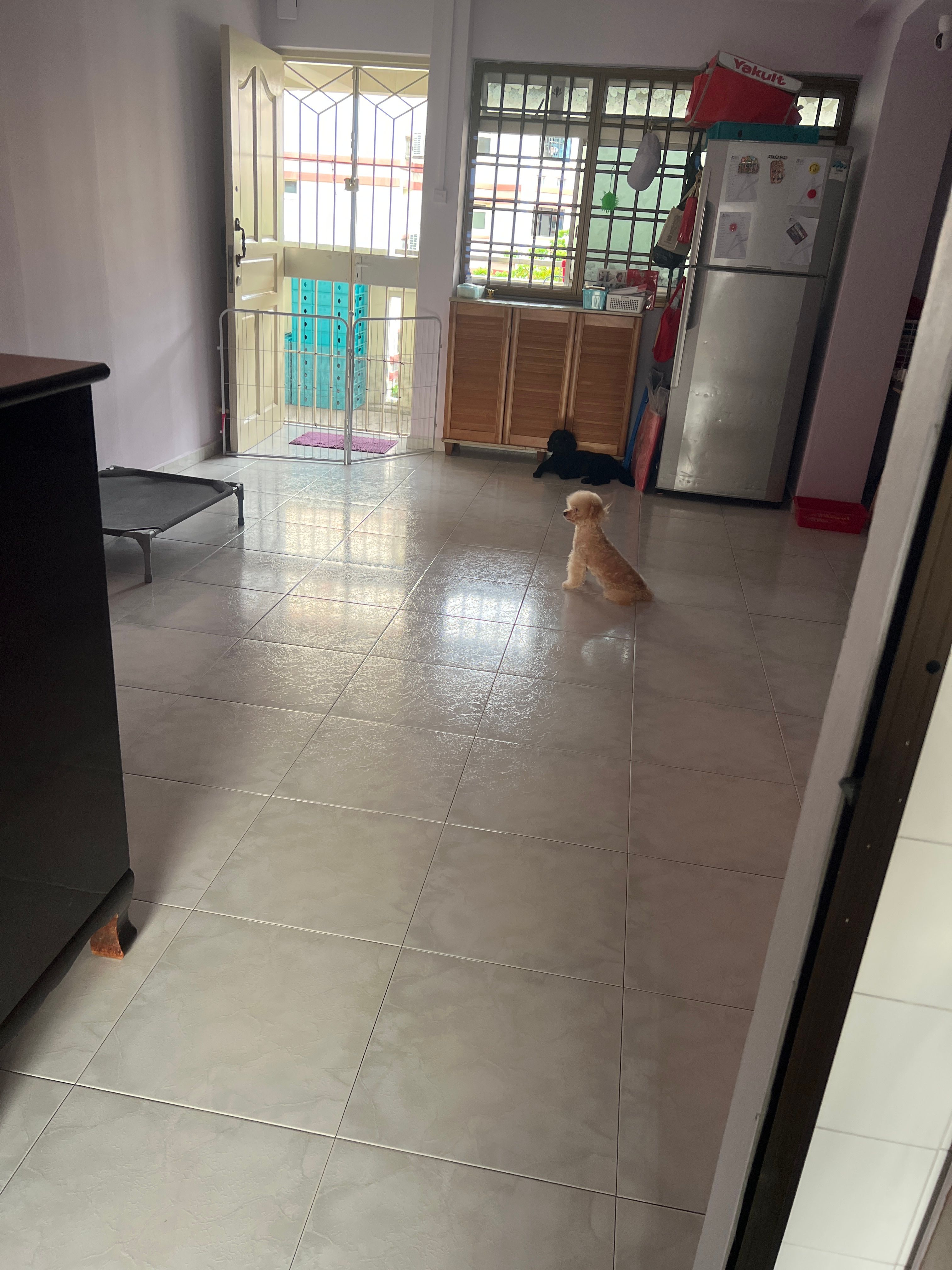 image-20