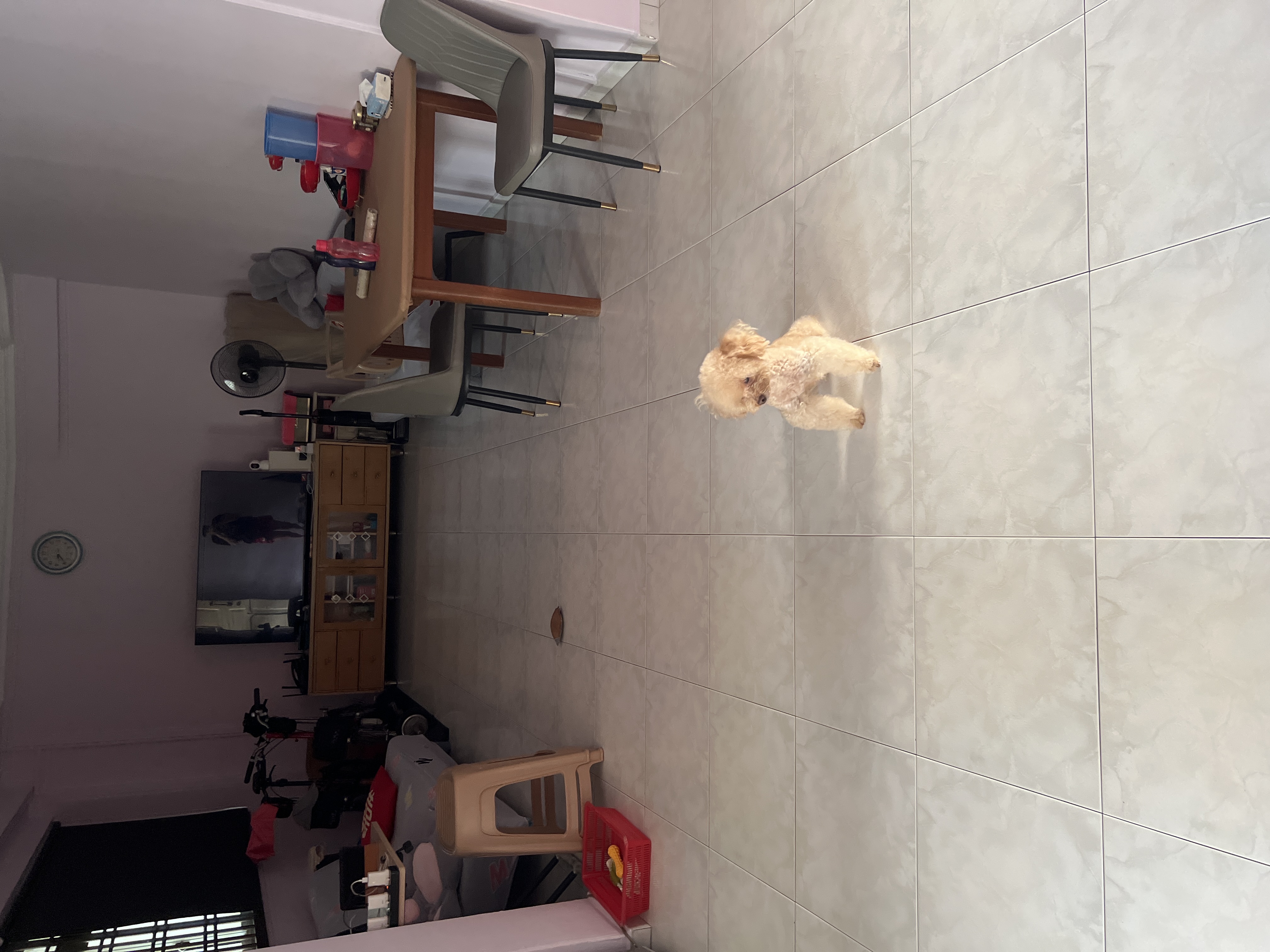 image-19