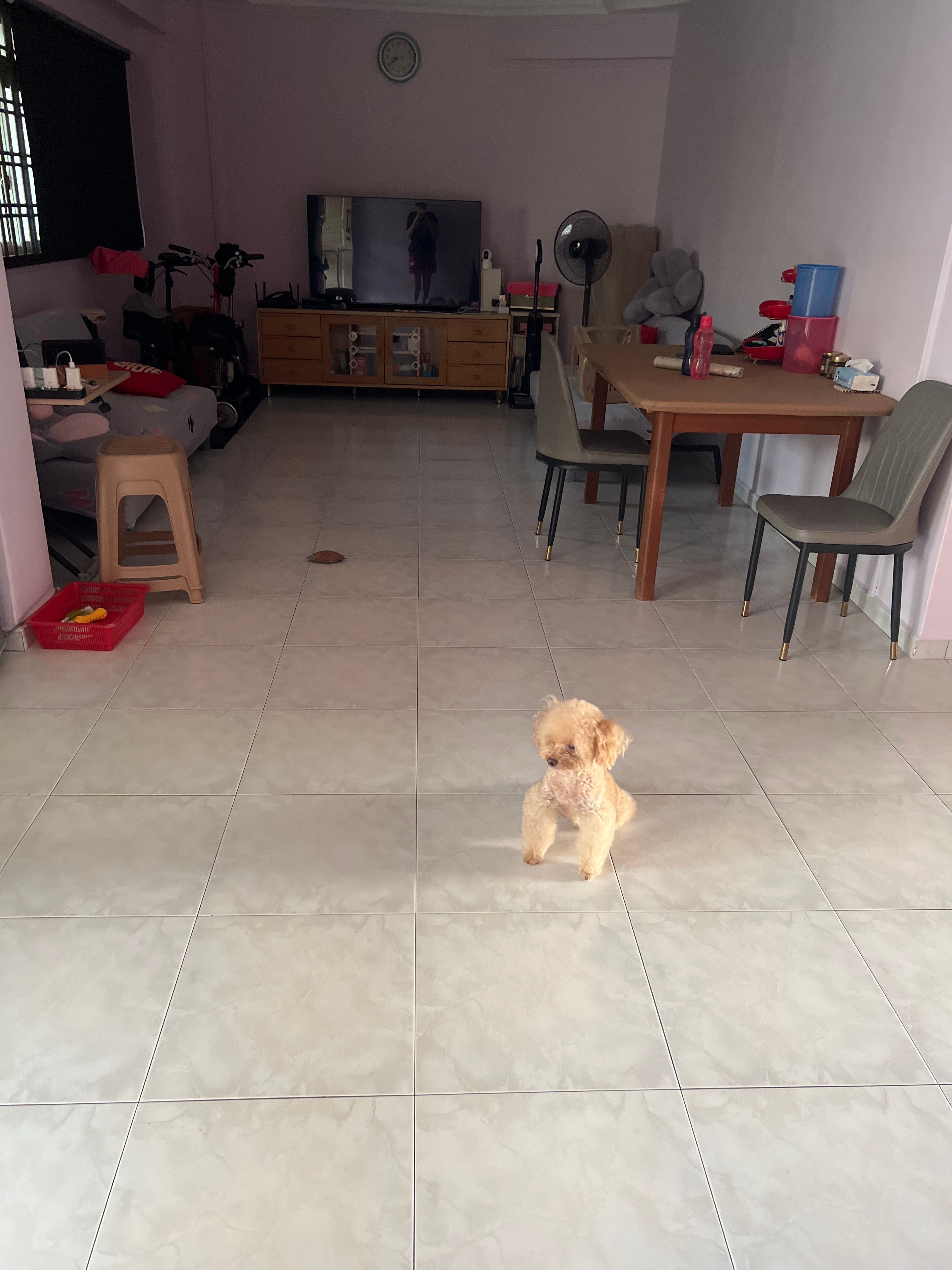 image-19
