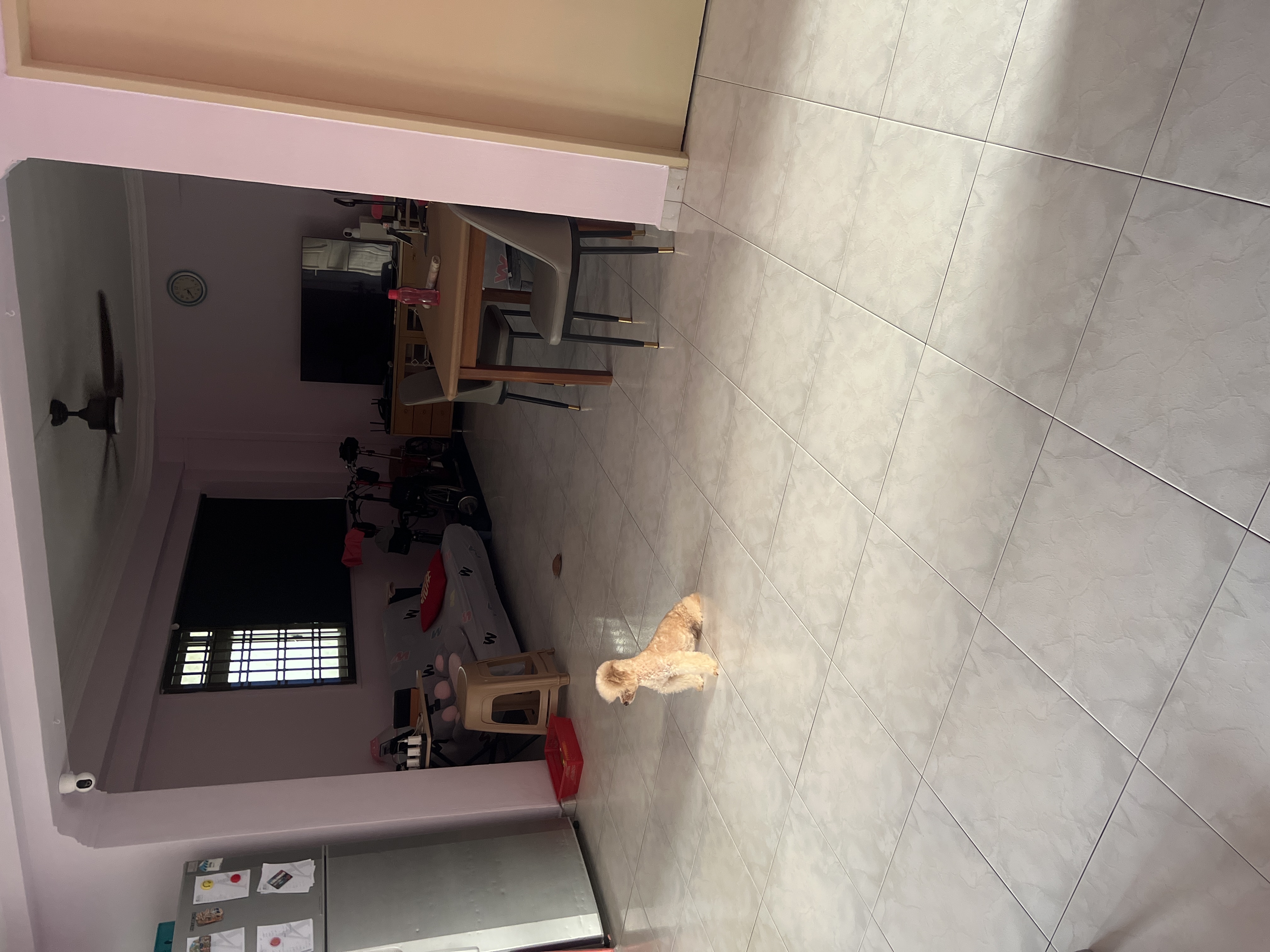 image-21