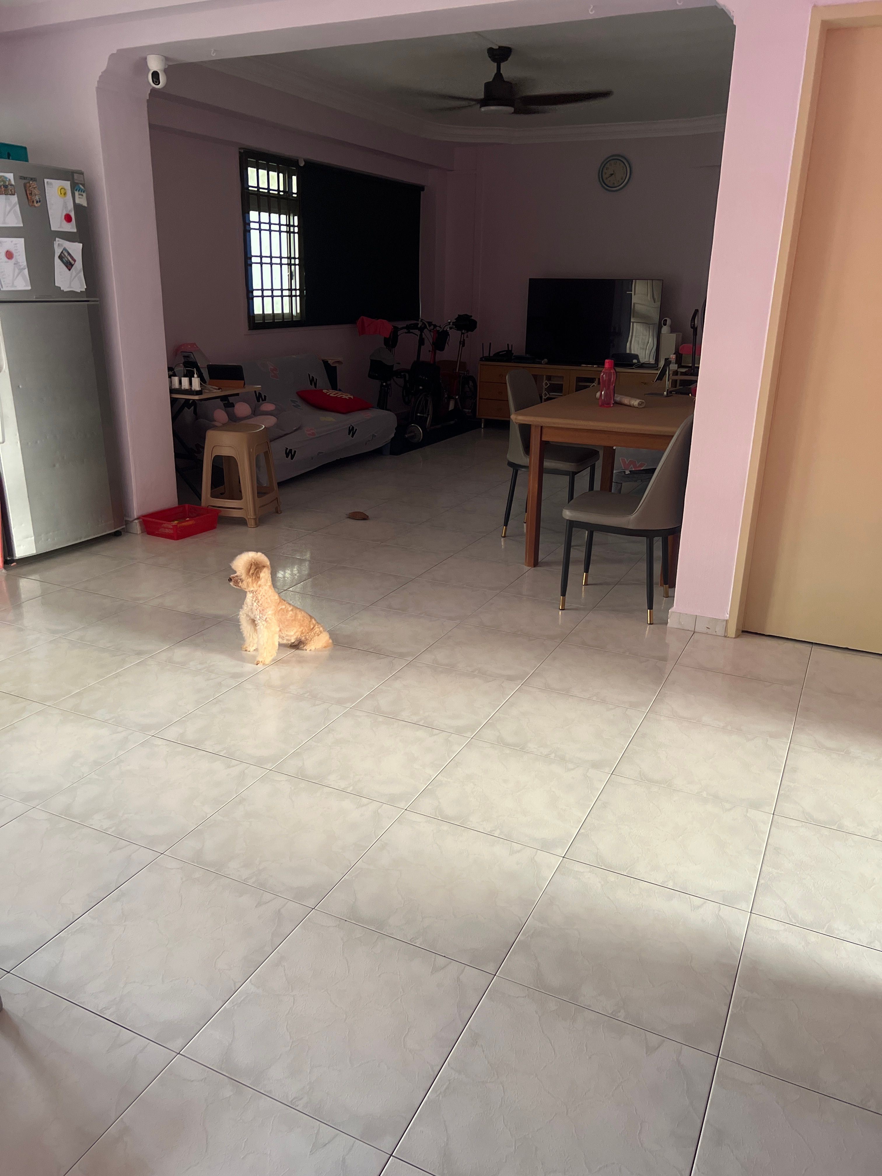 image-21