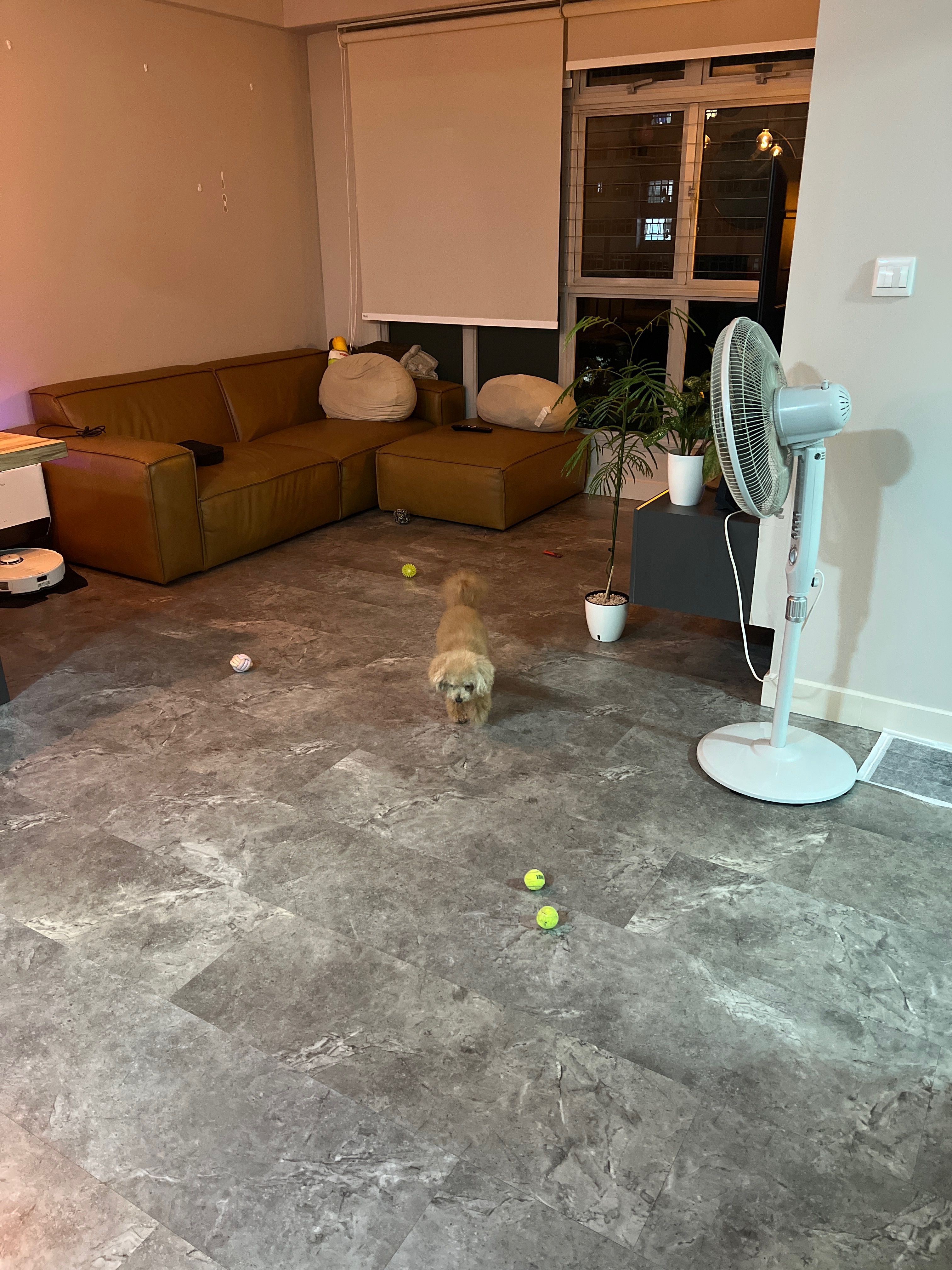 image-18