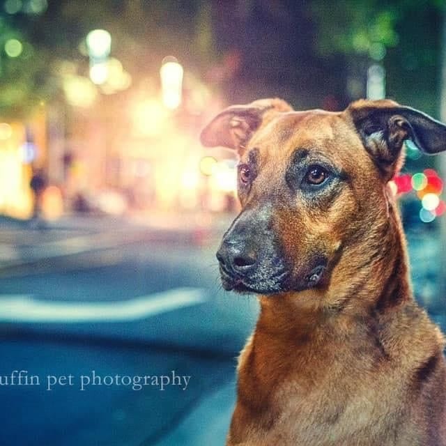 Daisy
