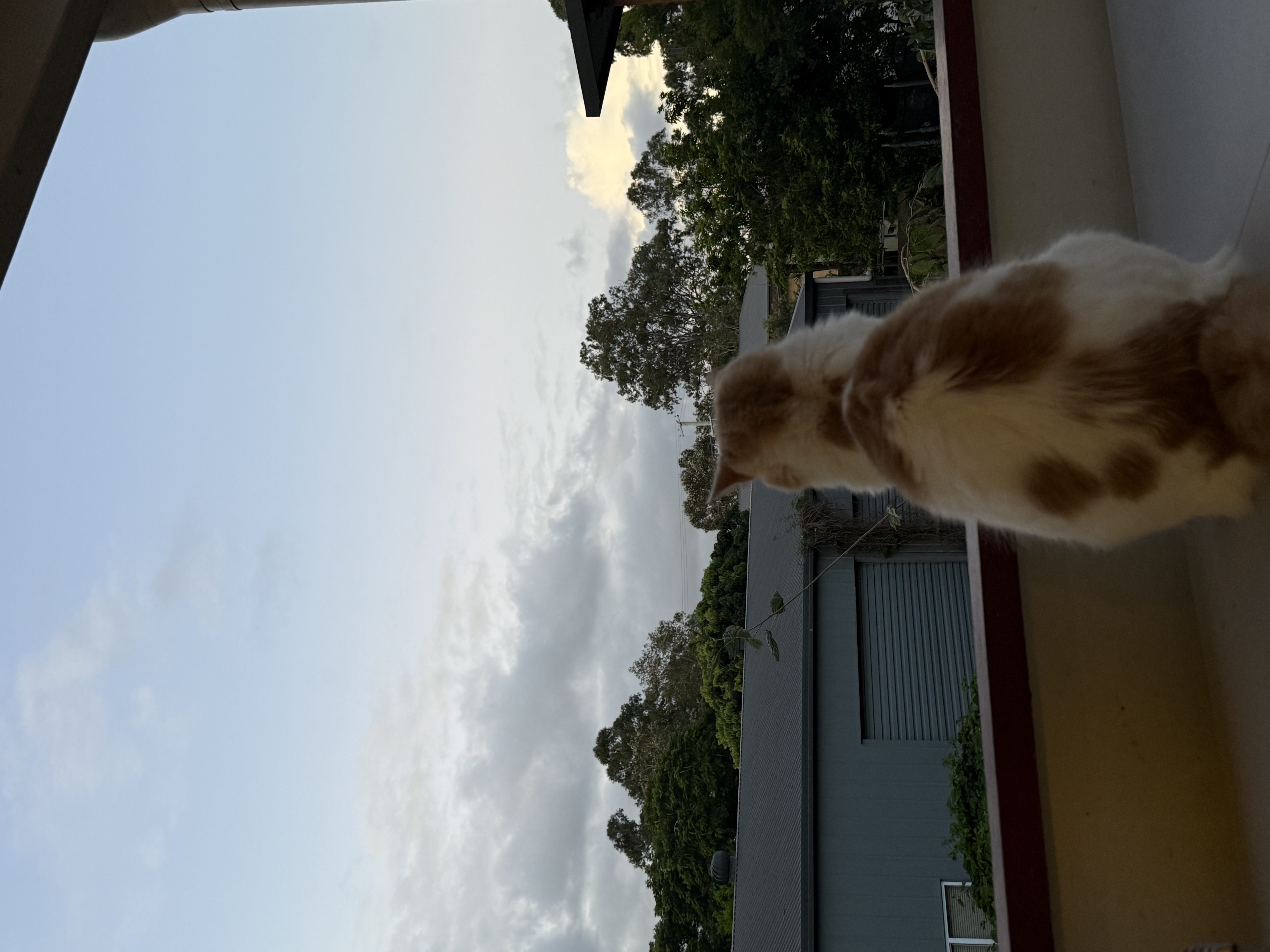 image-8