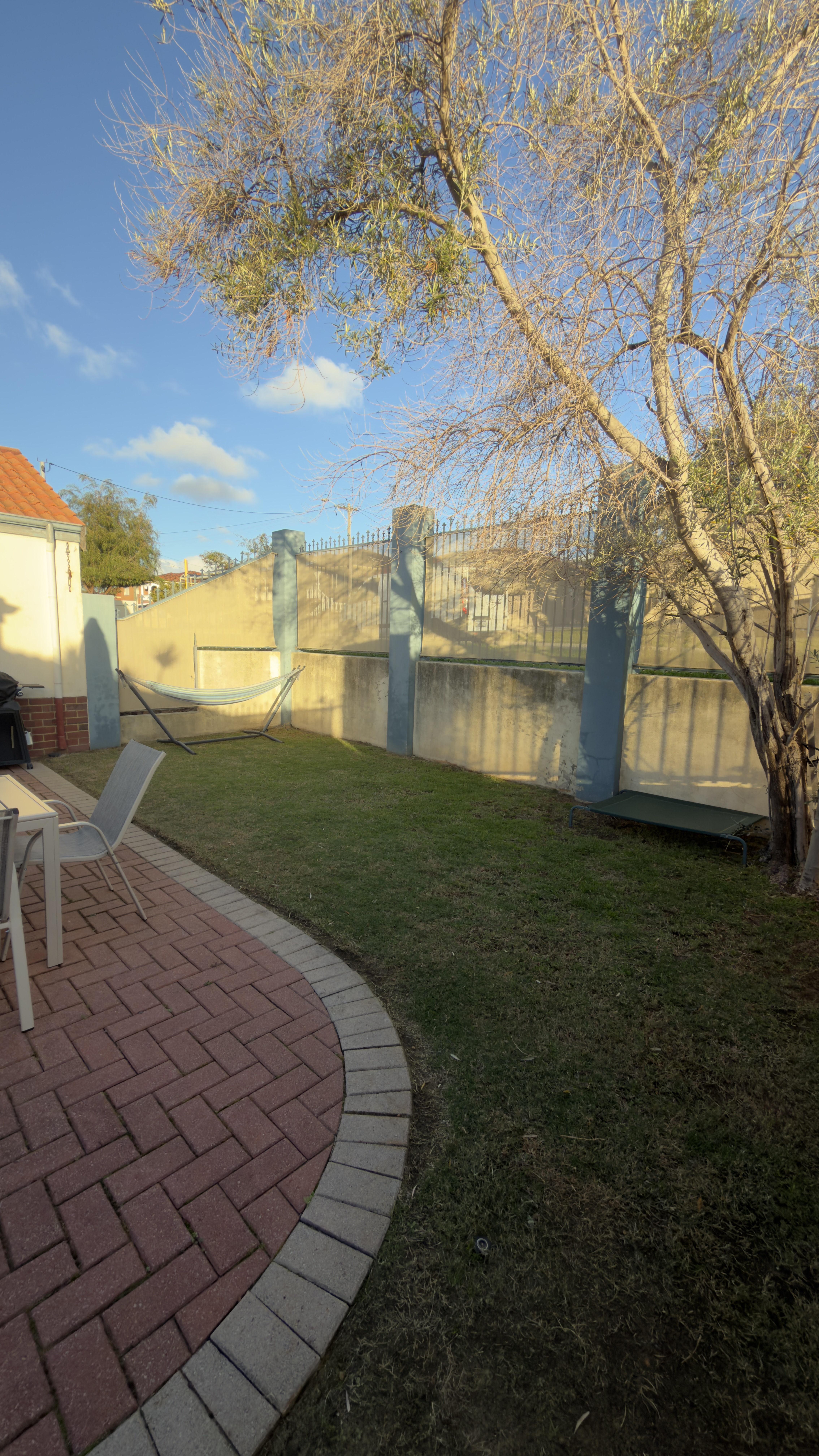 image-19