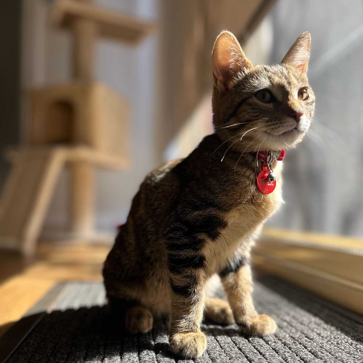 Max