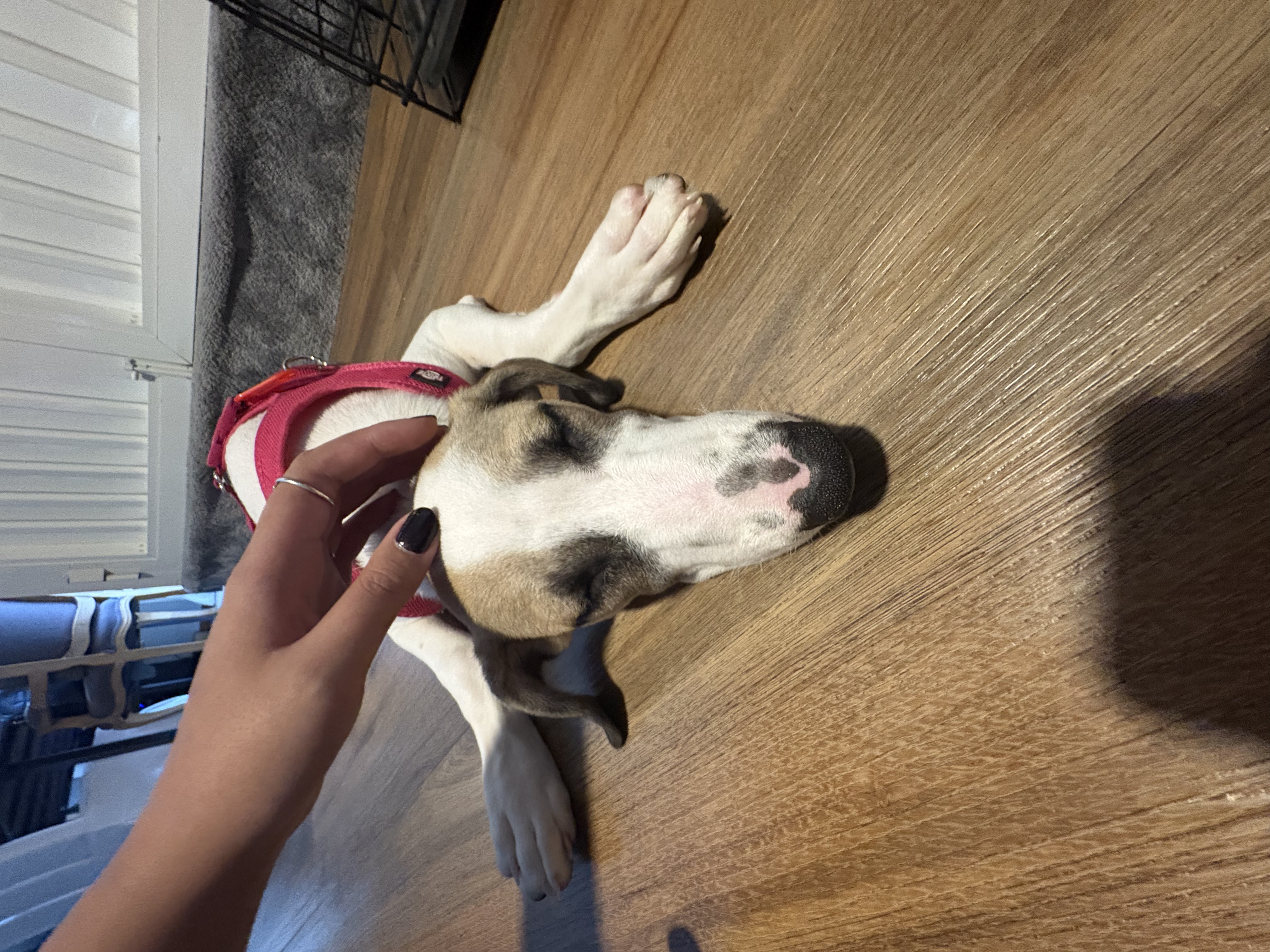 image-6