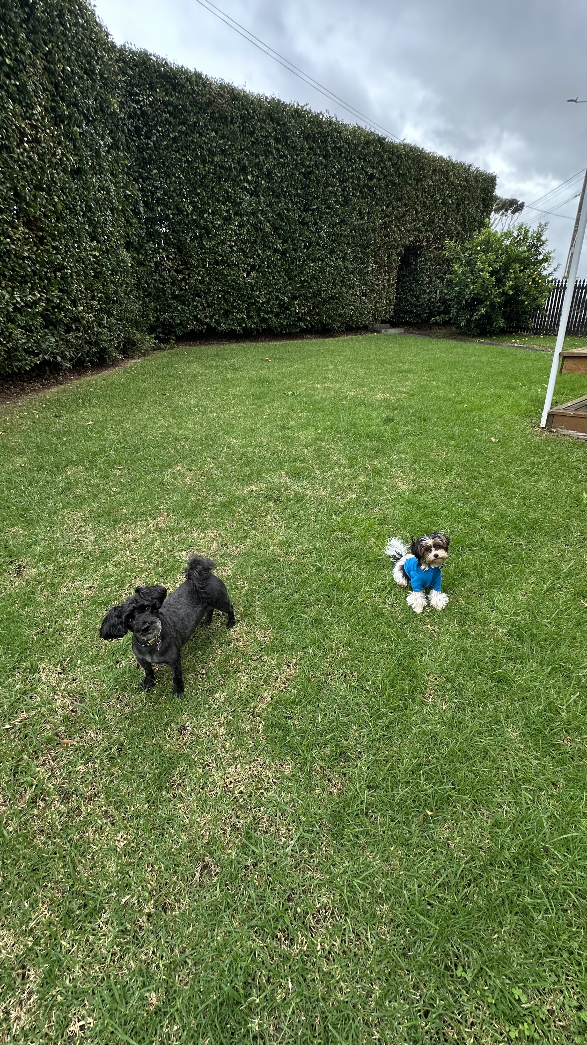image-16