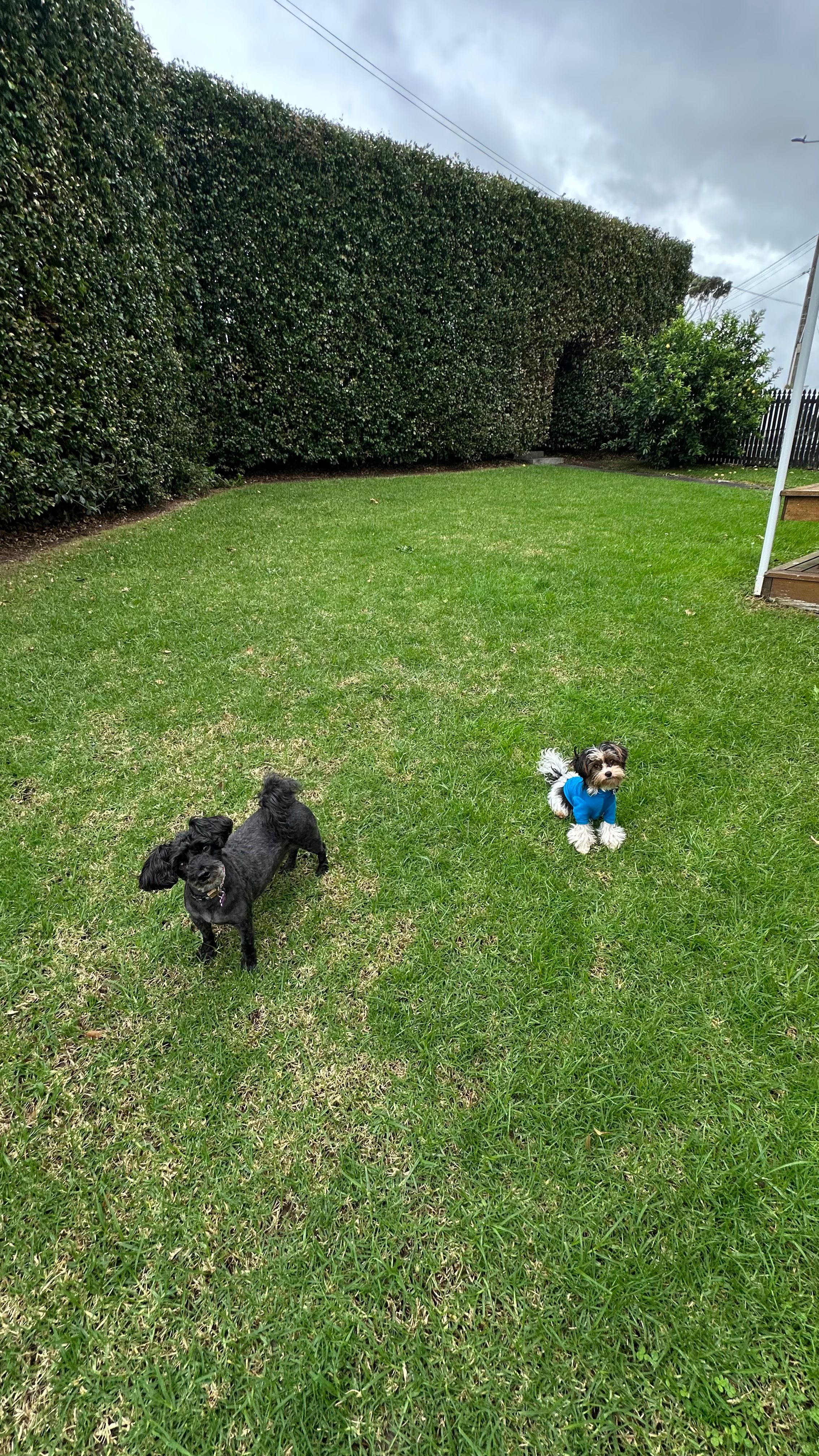 image-16