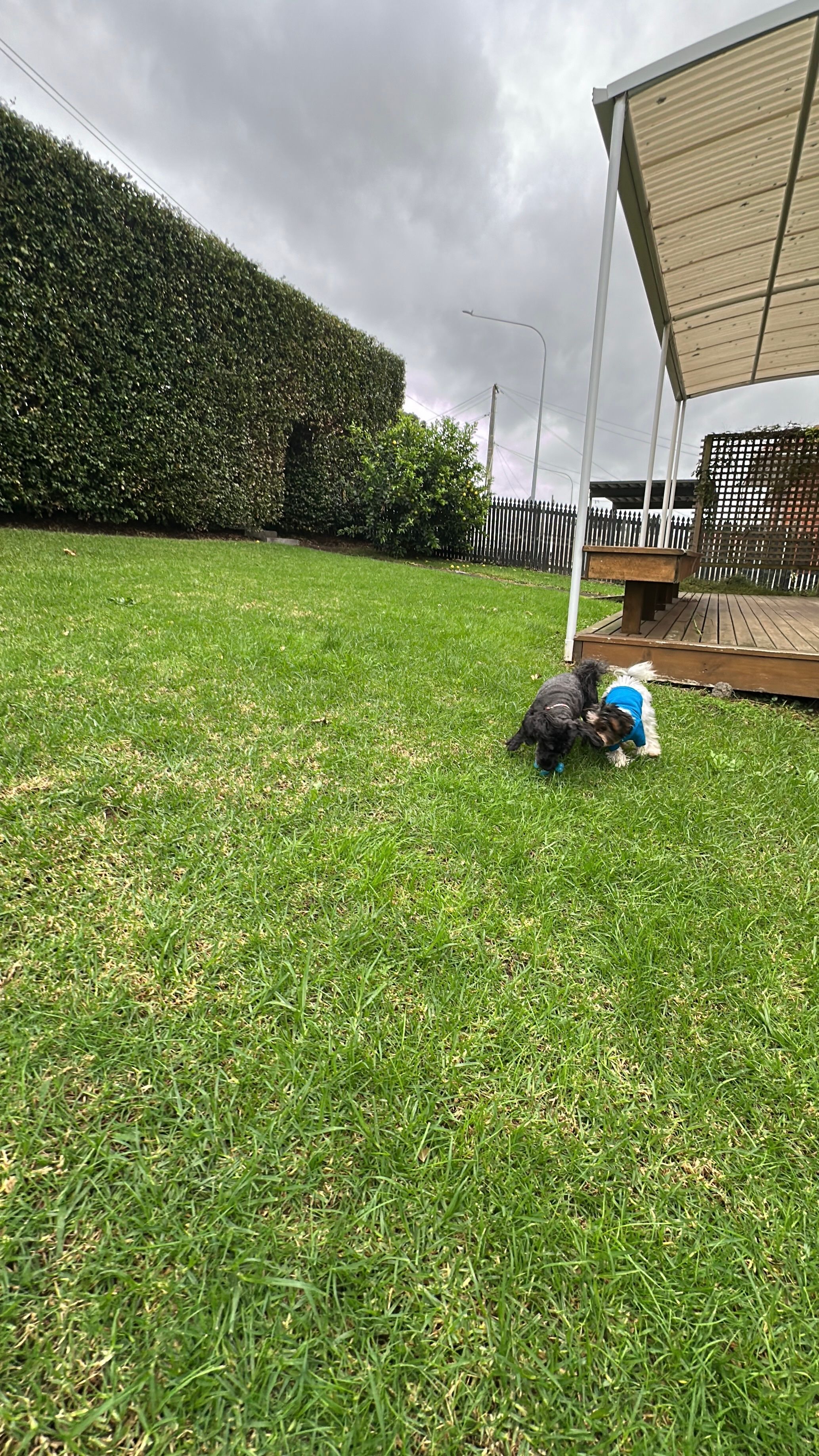 image-18