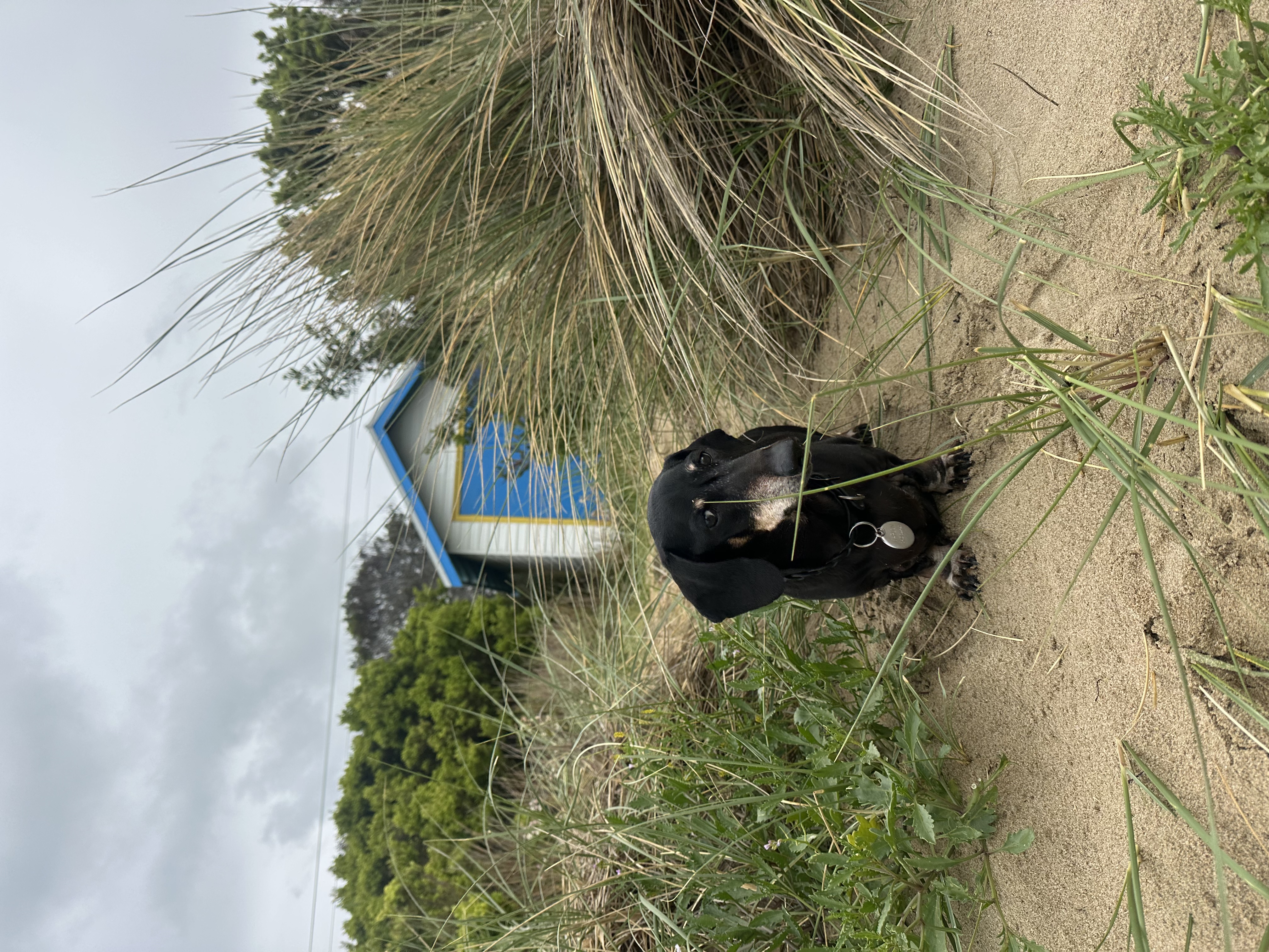 image-5