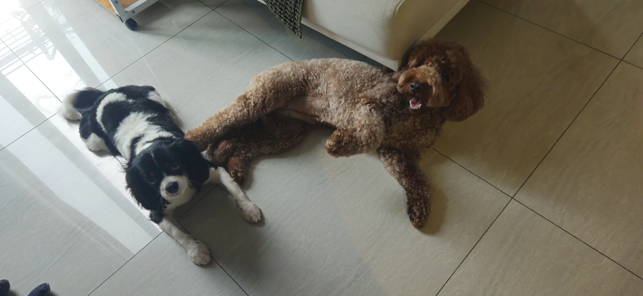 image-23