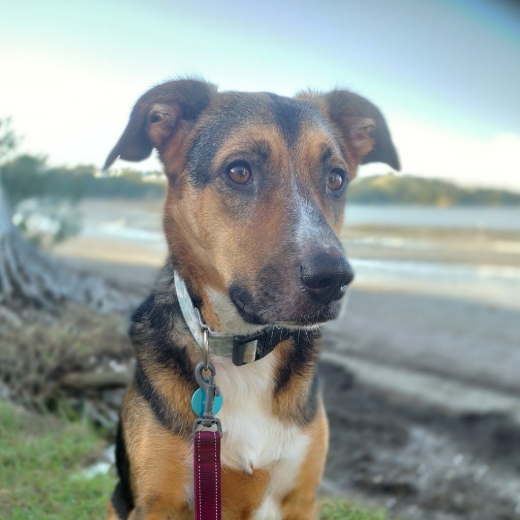 Kiki