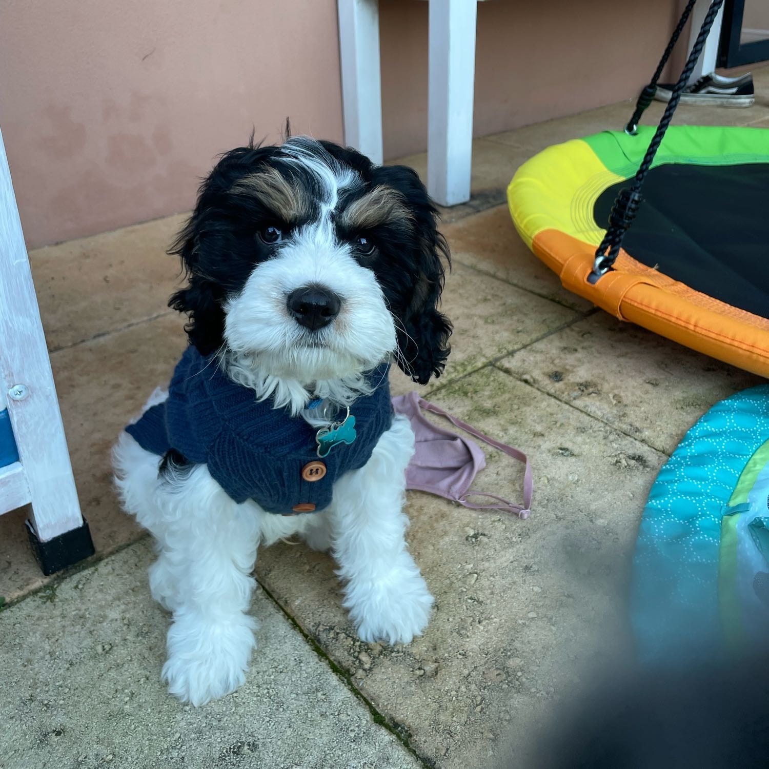 Huxley 