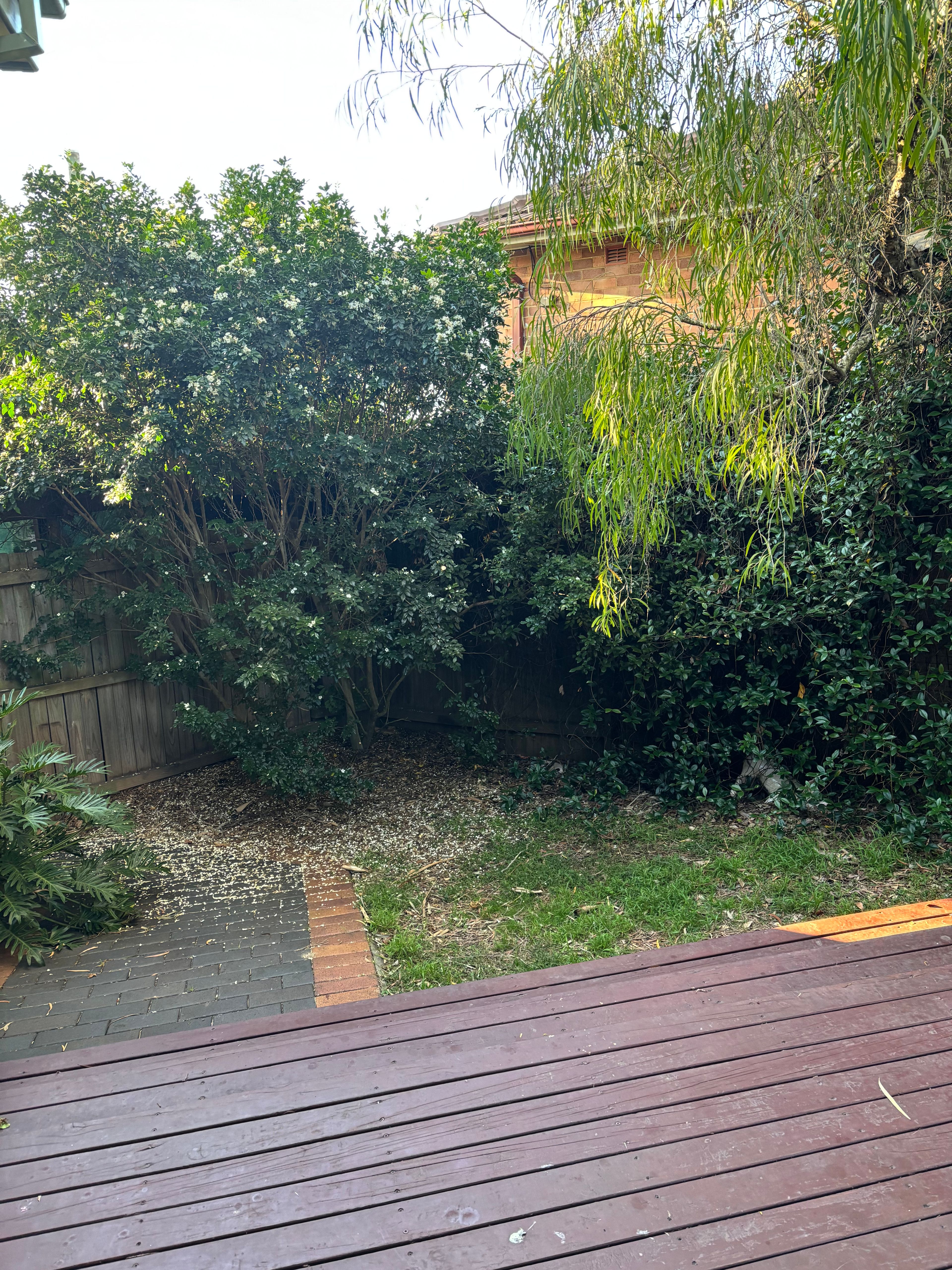 image-18