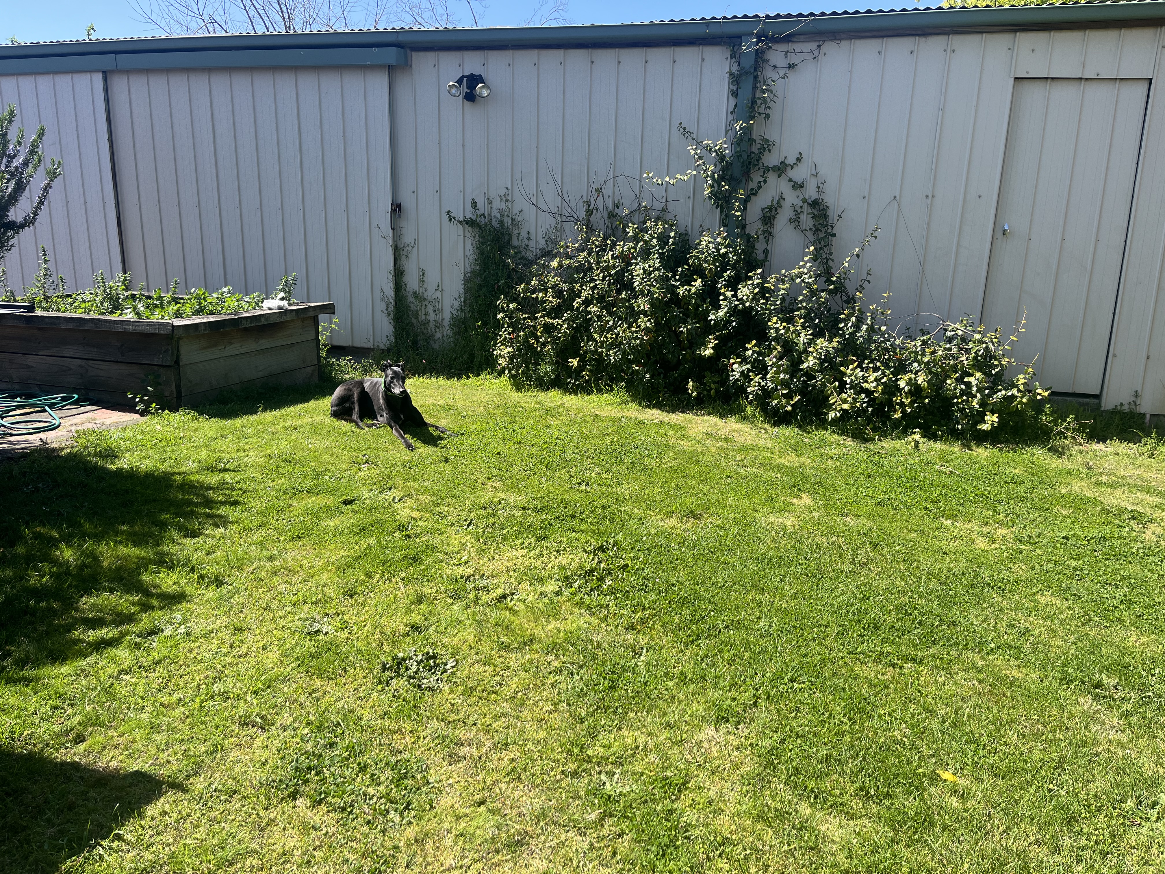 image-2