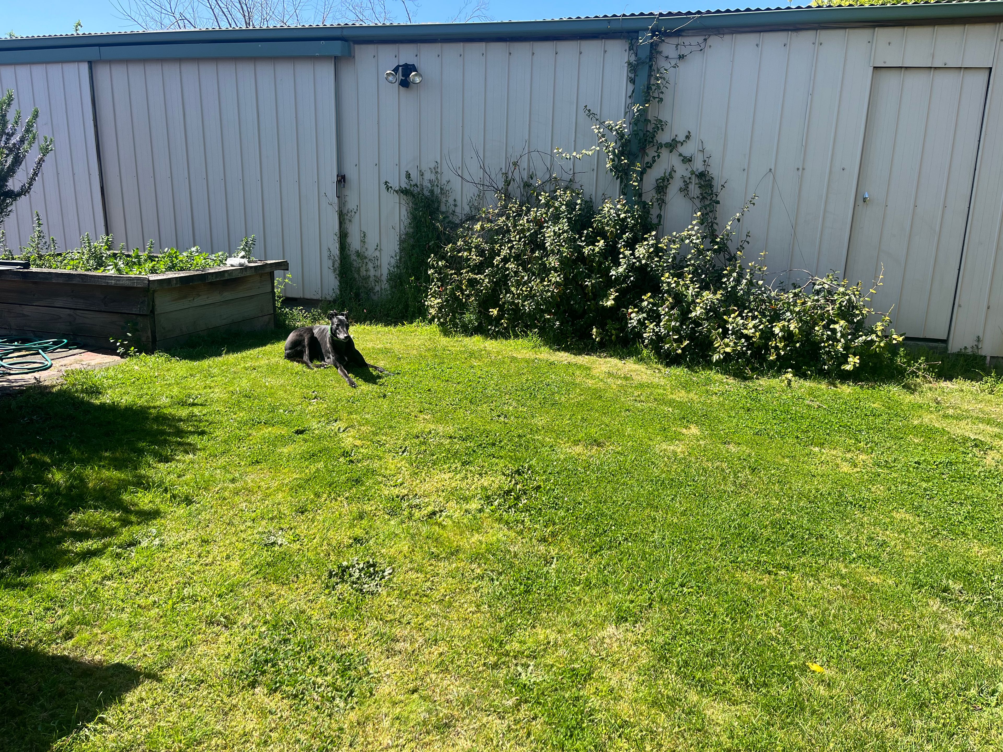image-2