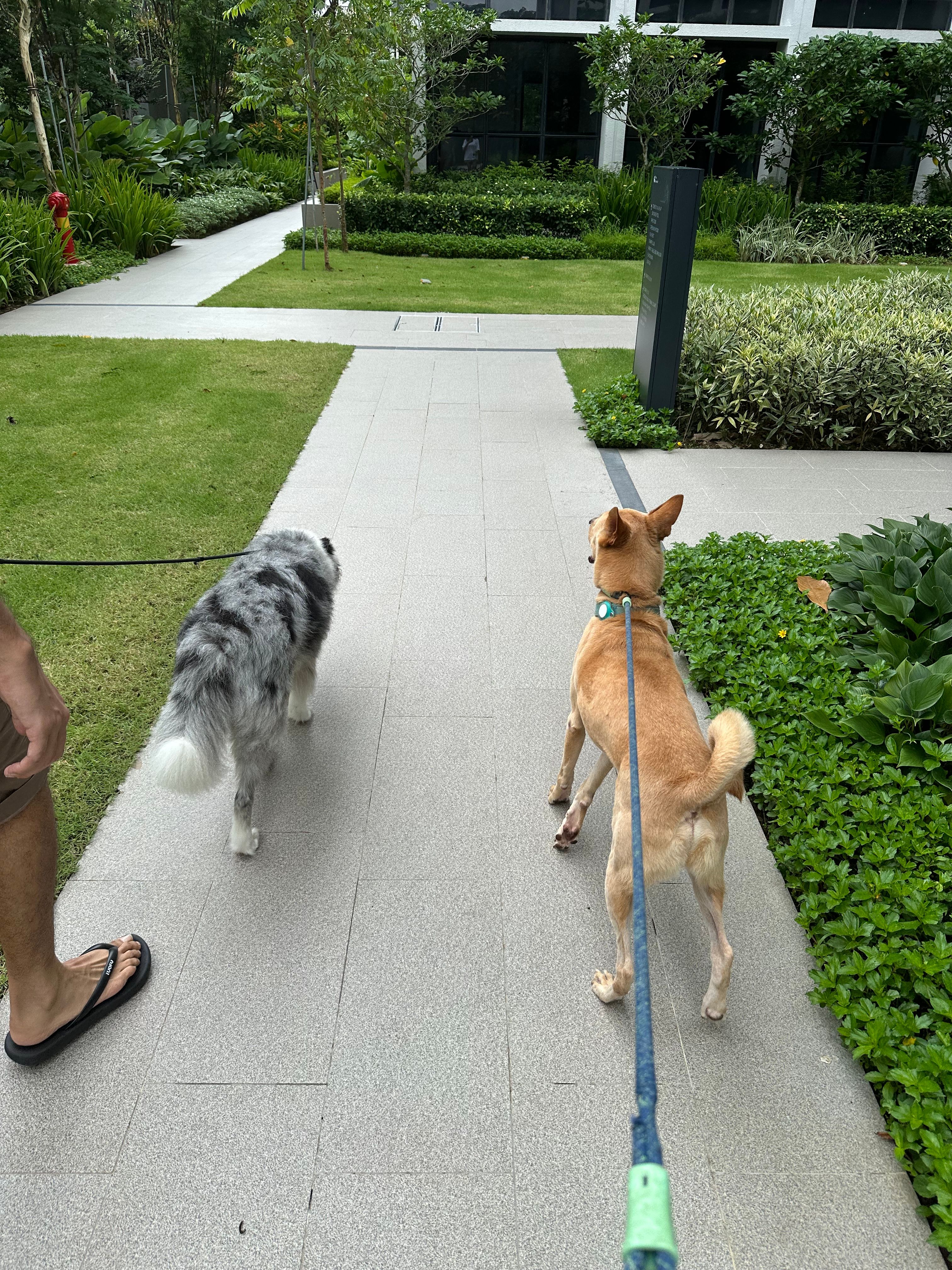 image-17