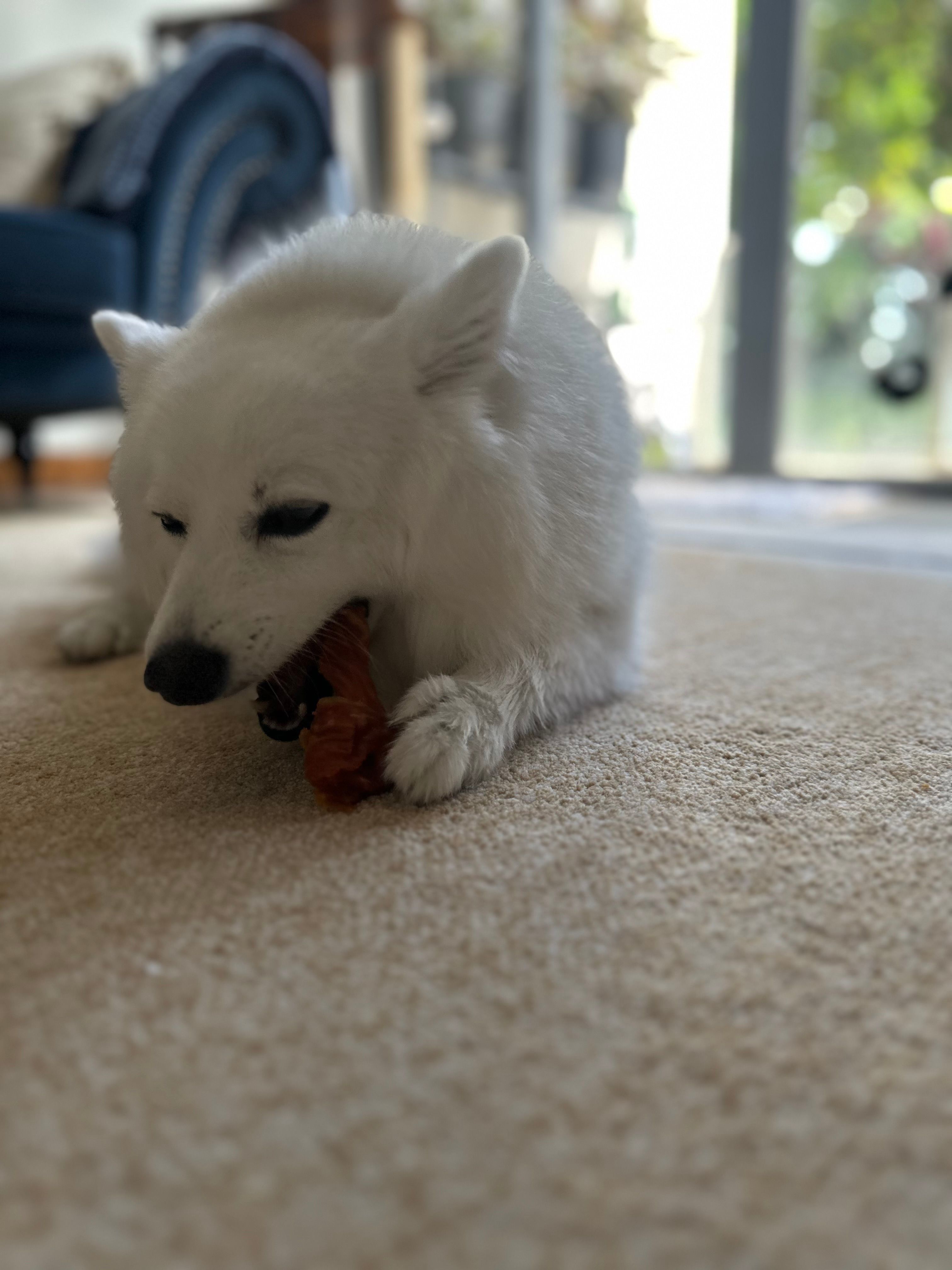 image-14