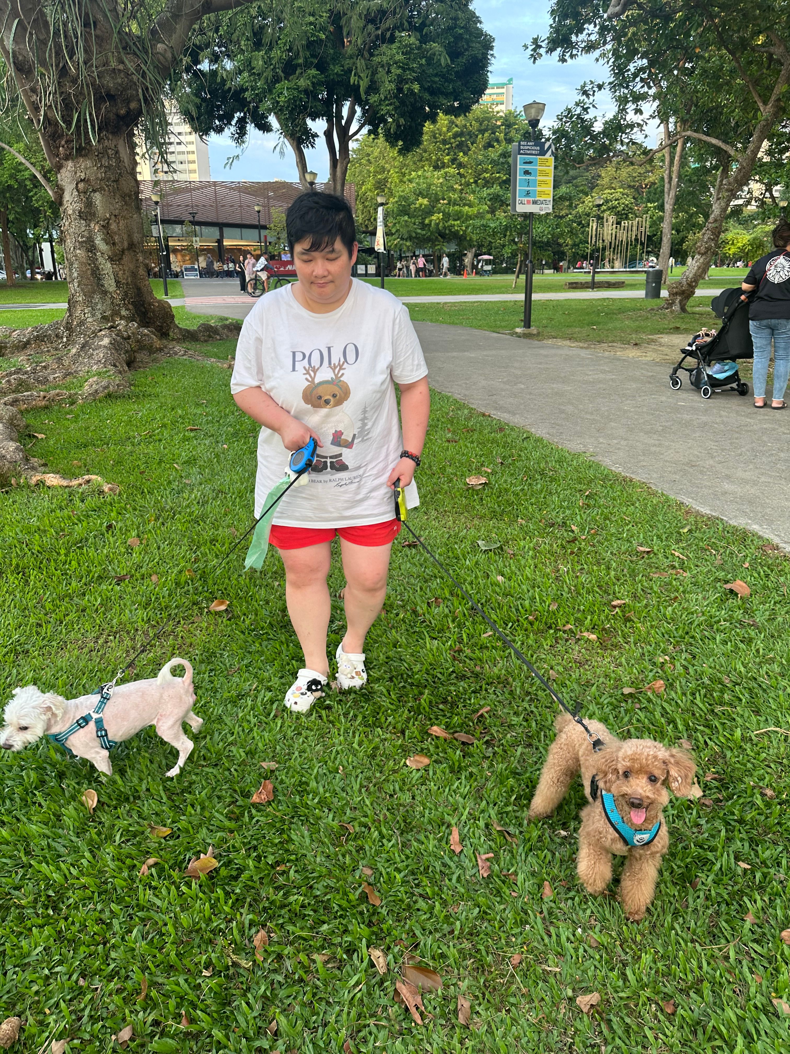 image-29