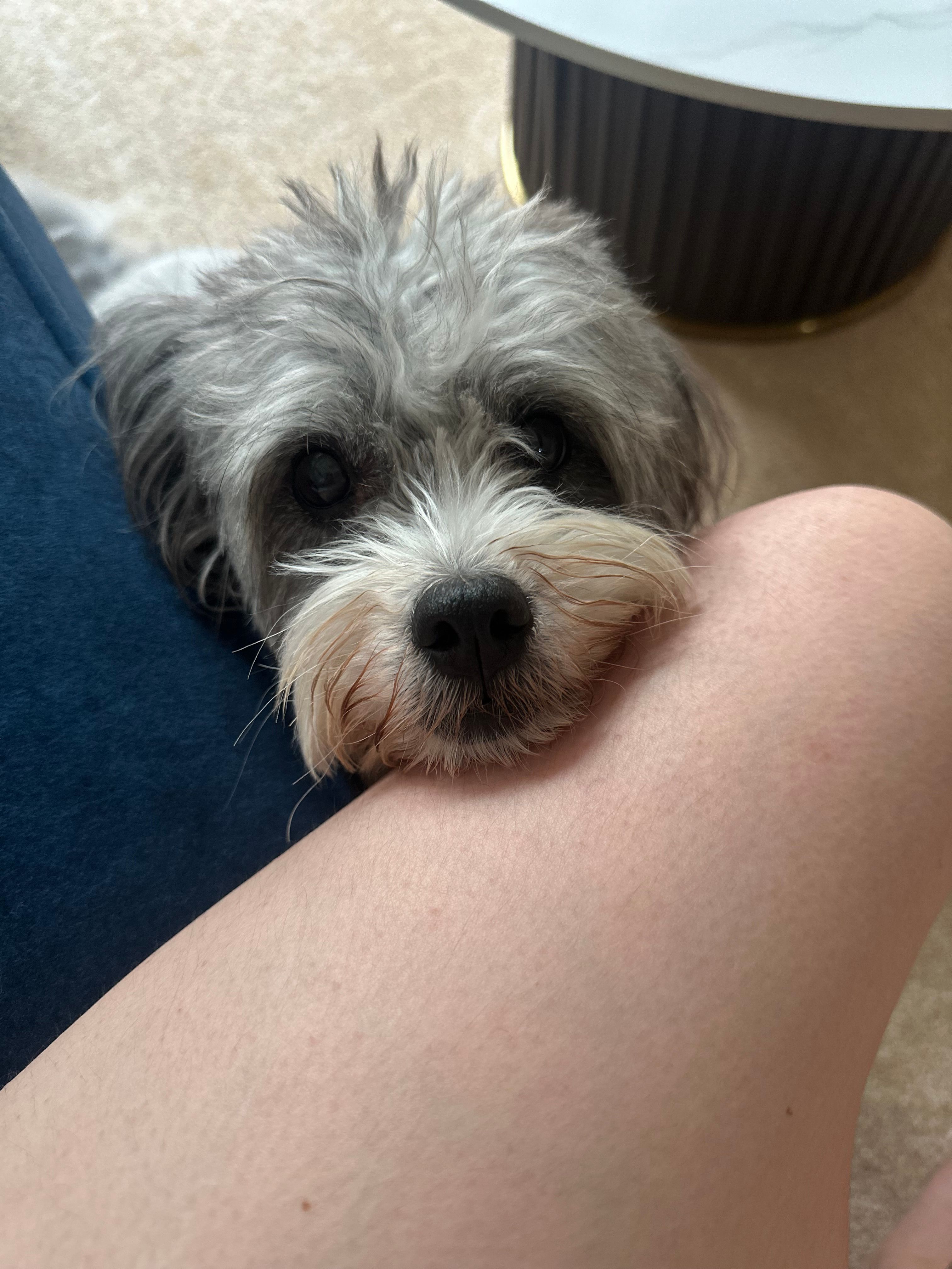 image-18