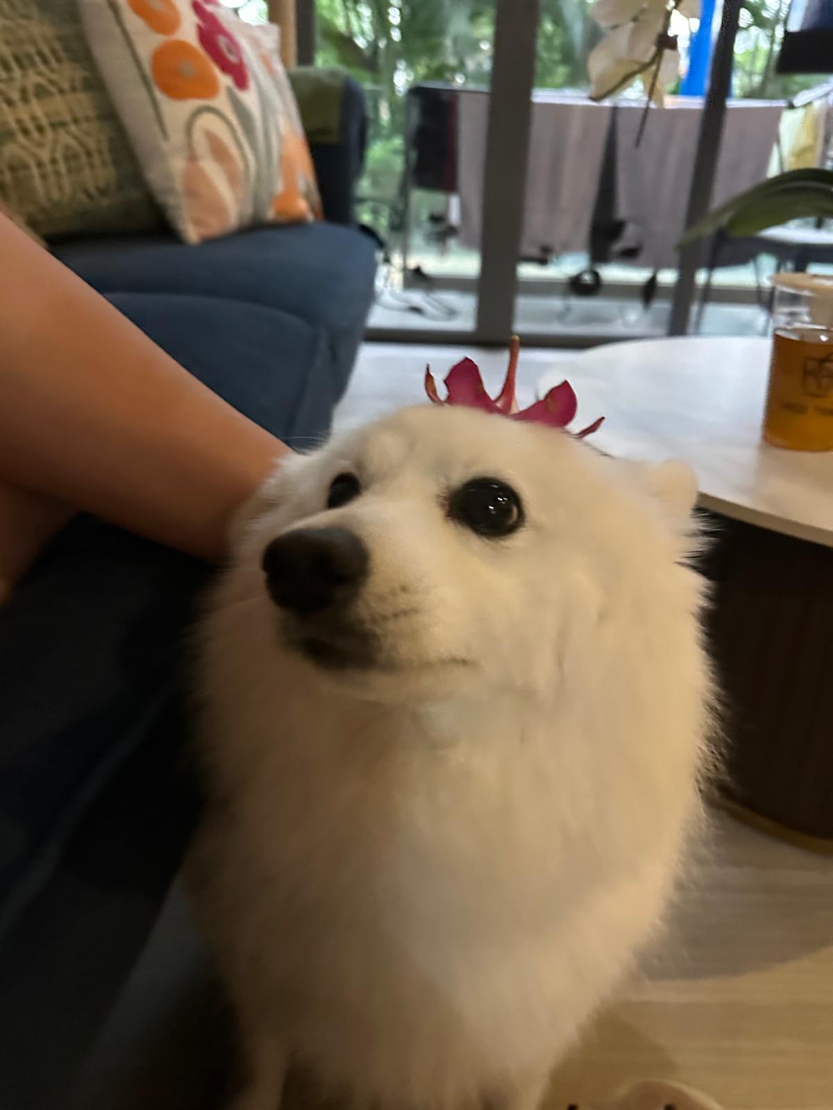 image-100