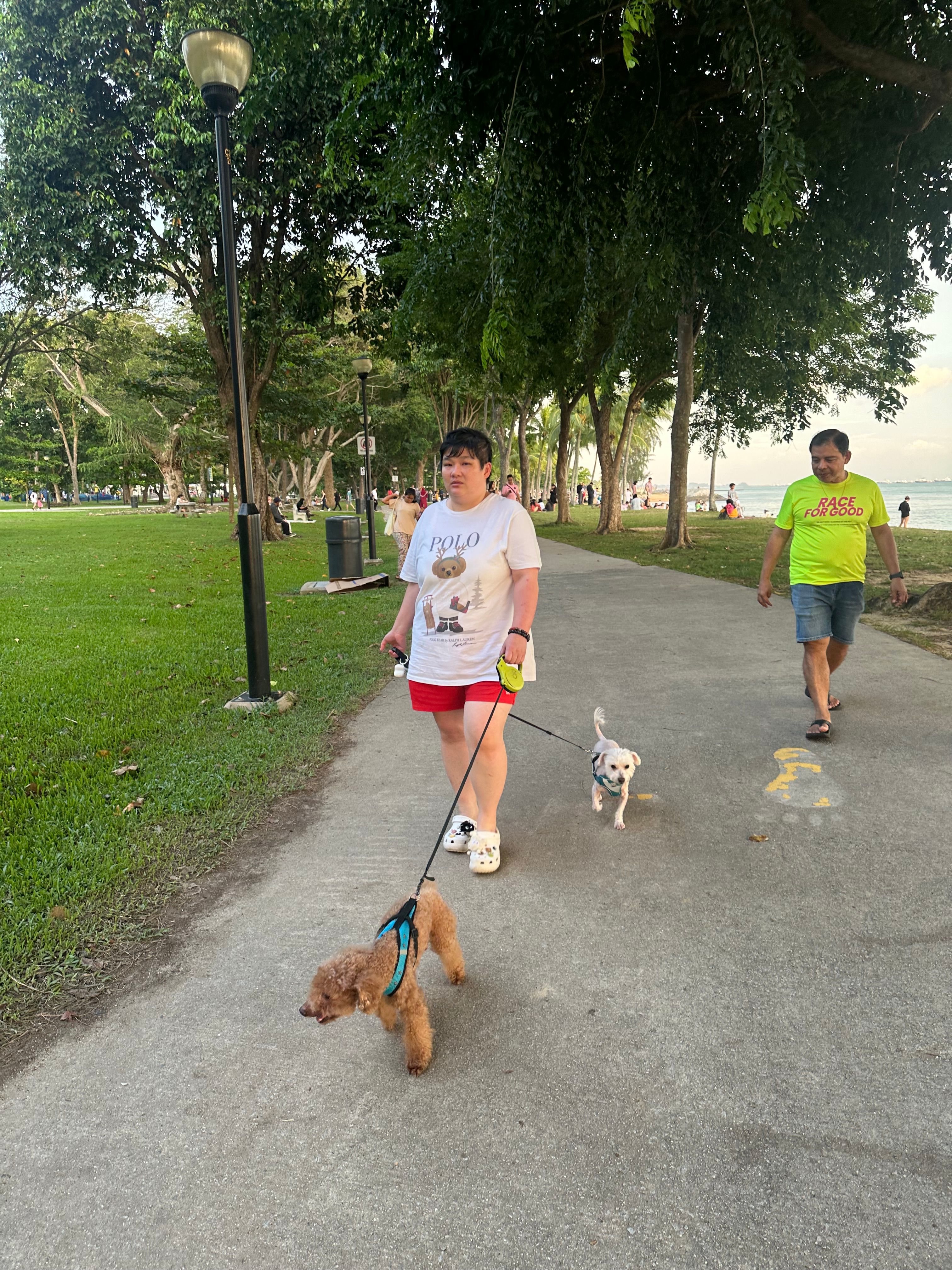 image-30