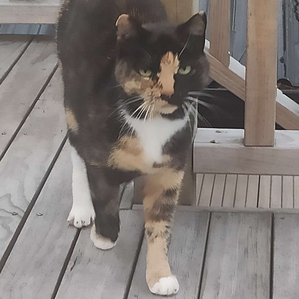 Smudge