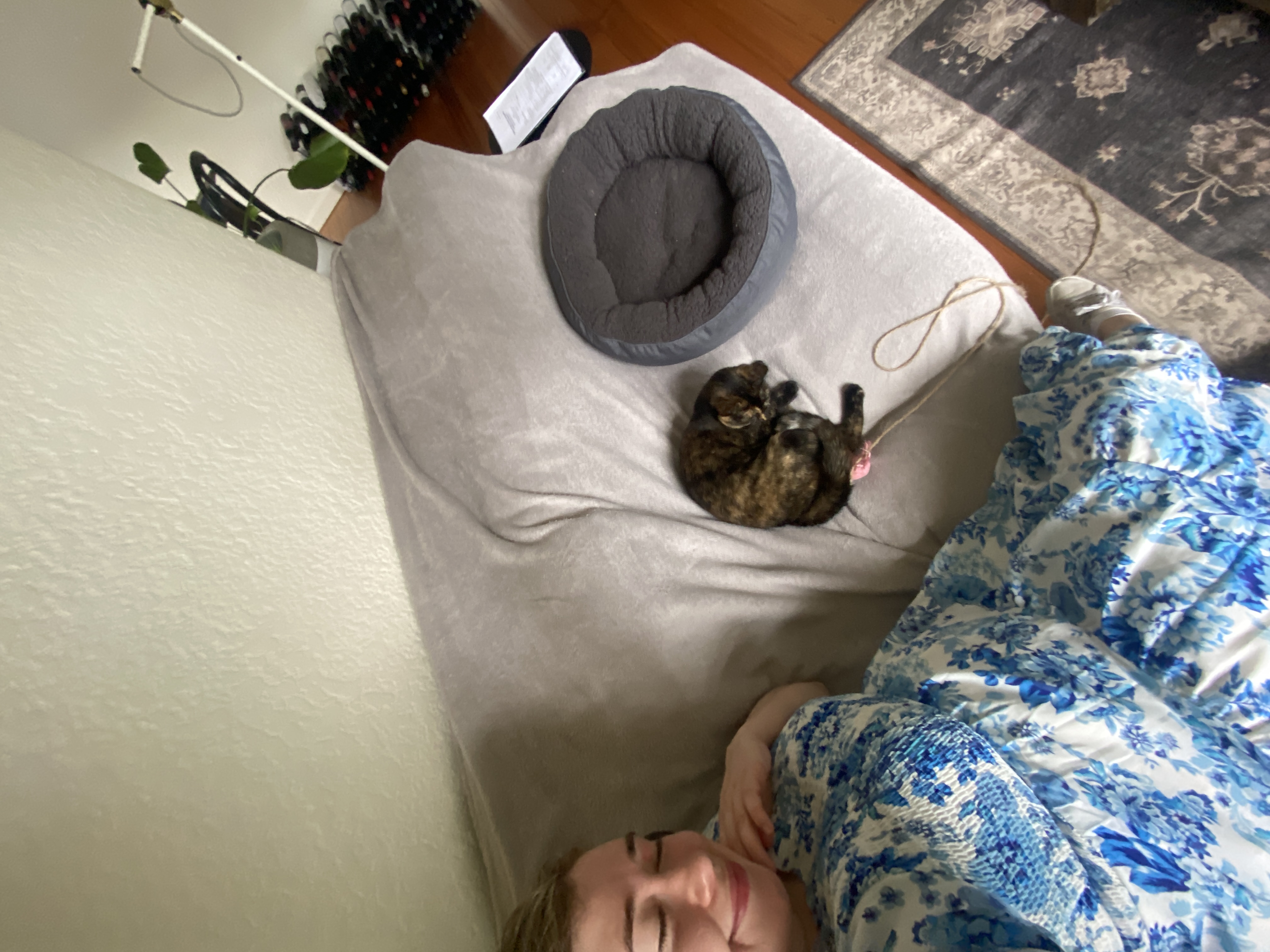 image-8