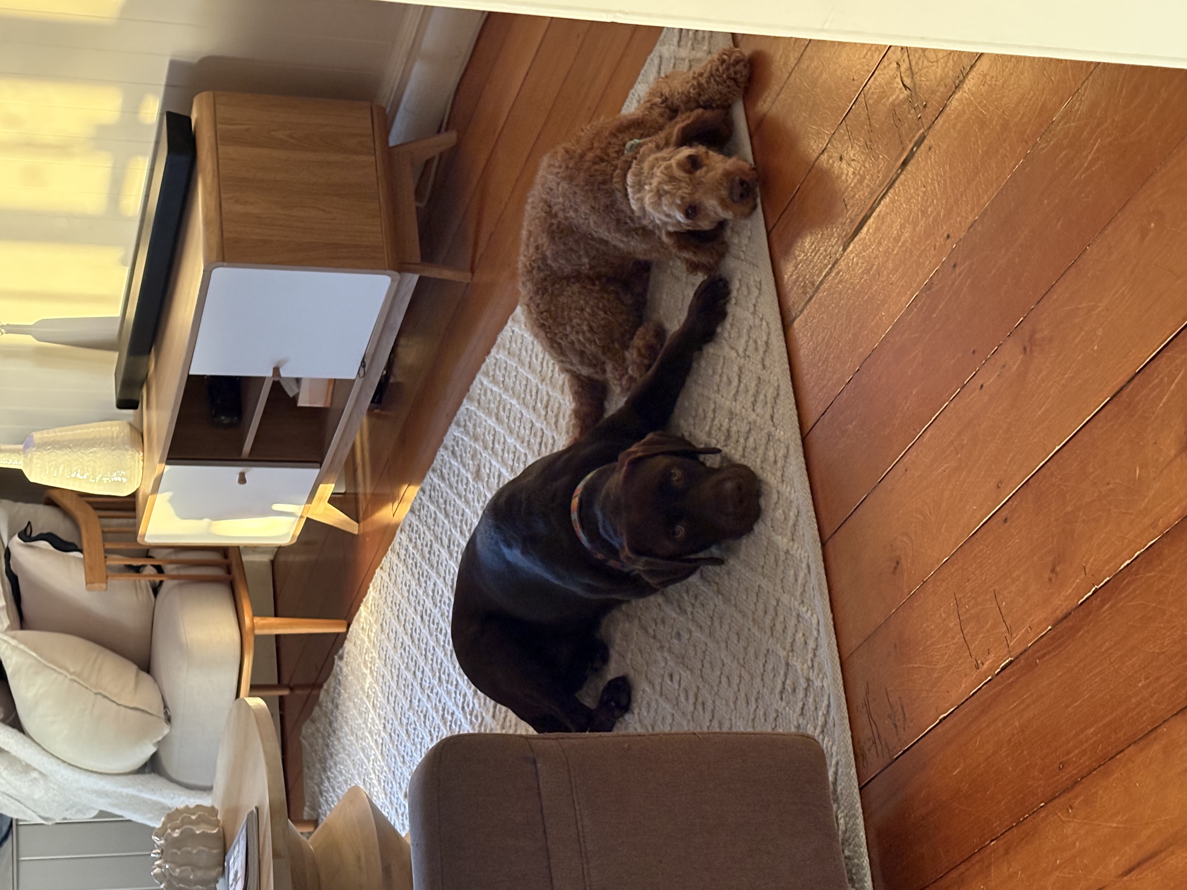 image-4