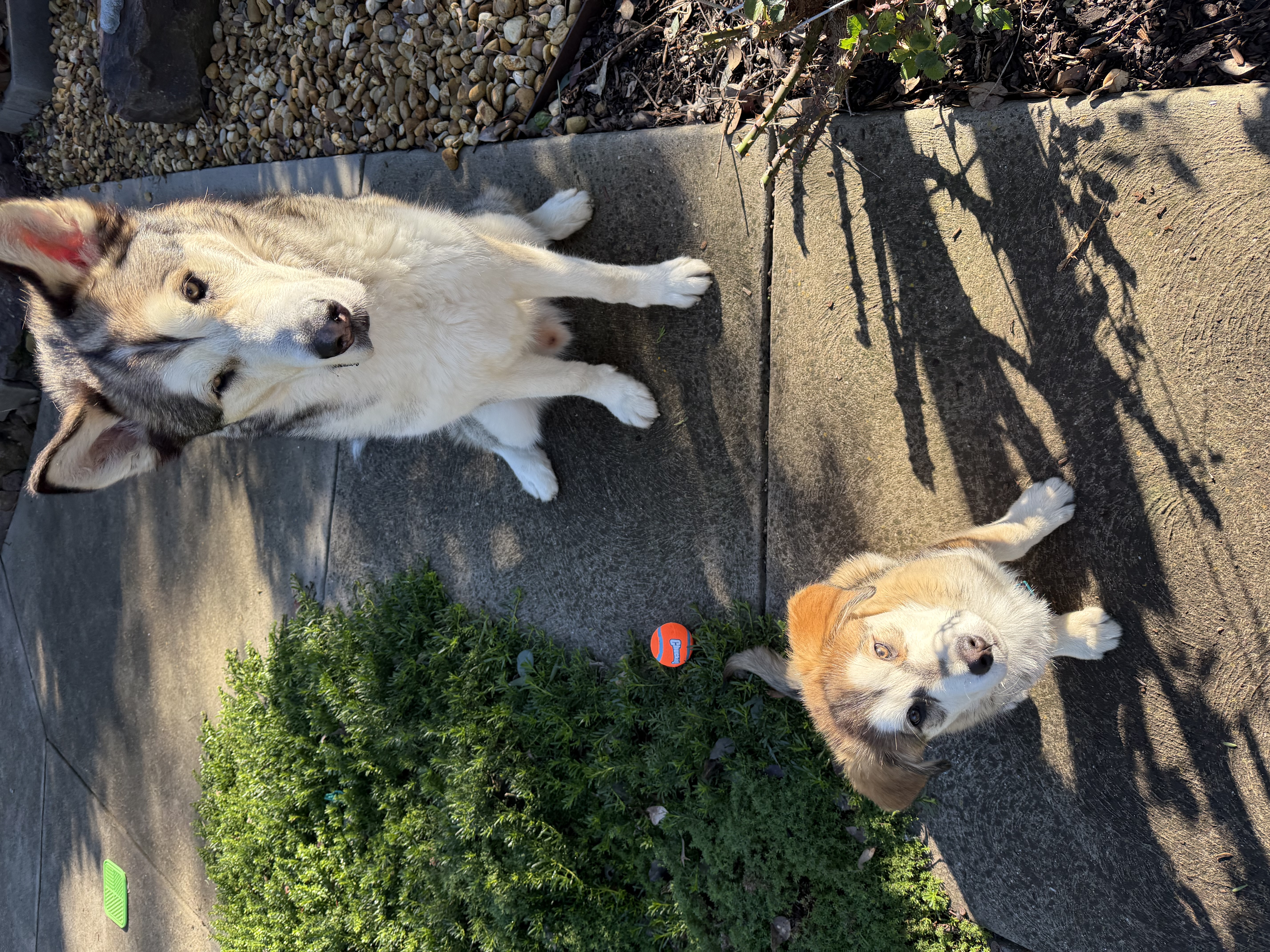 image-15