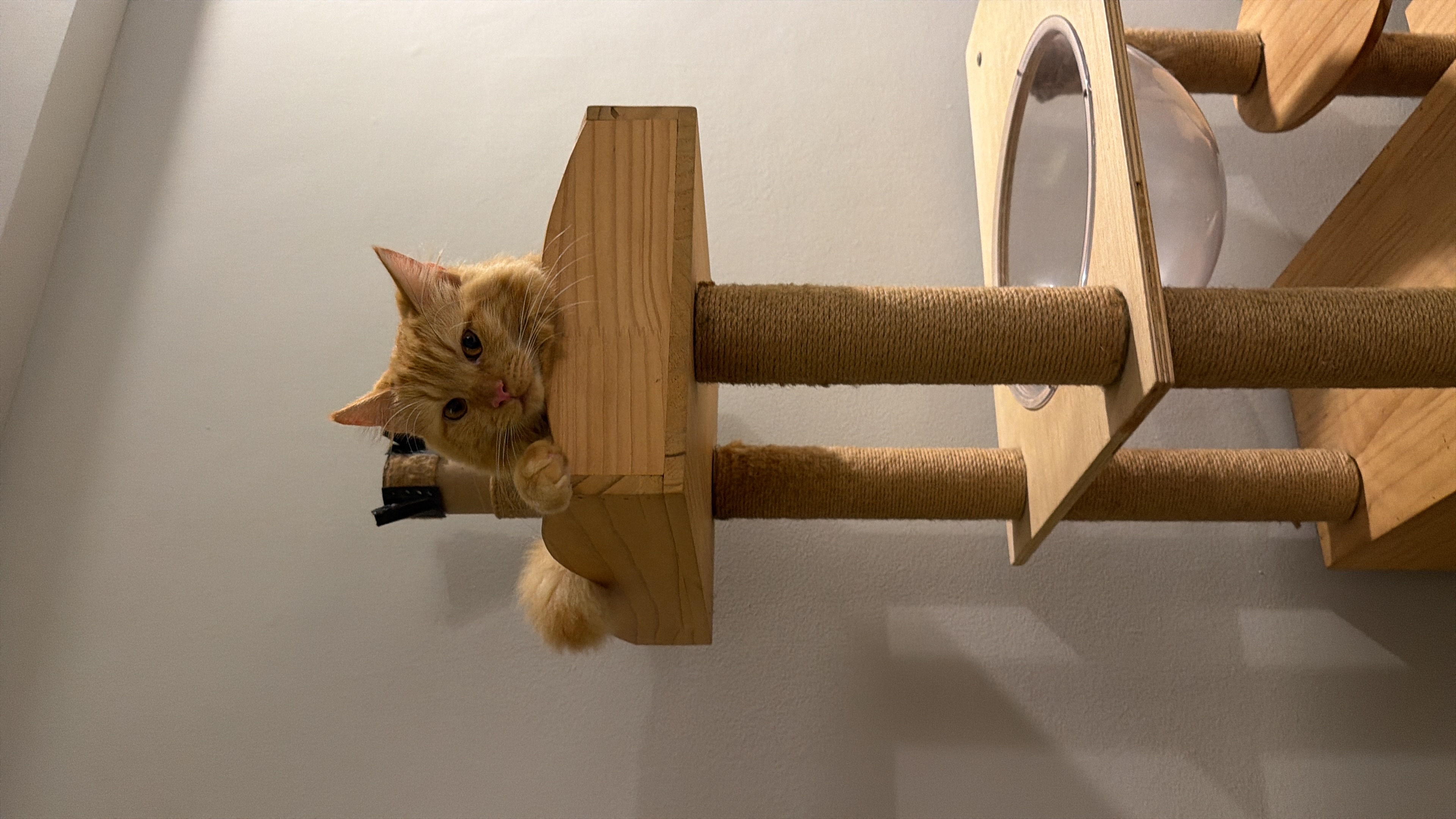 image-27