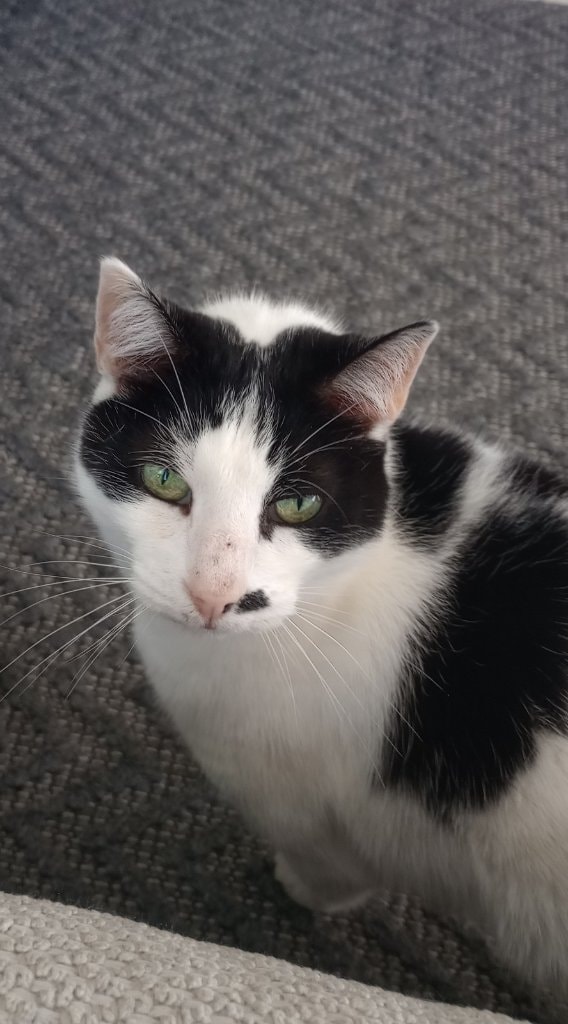 image-4