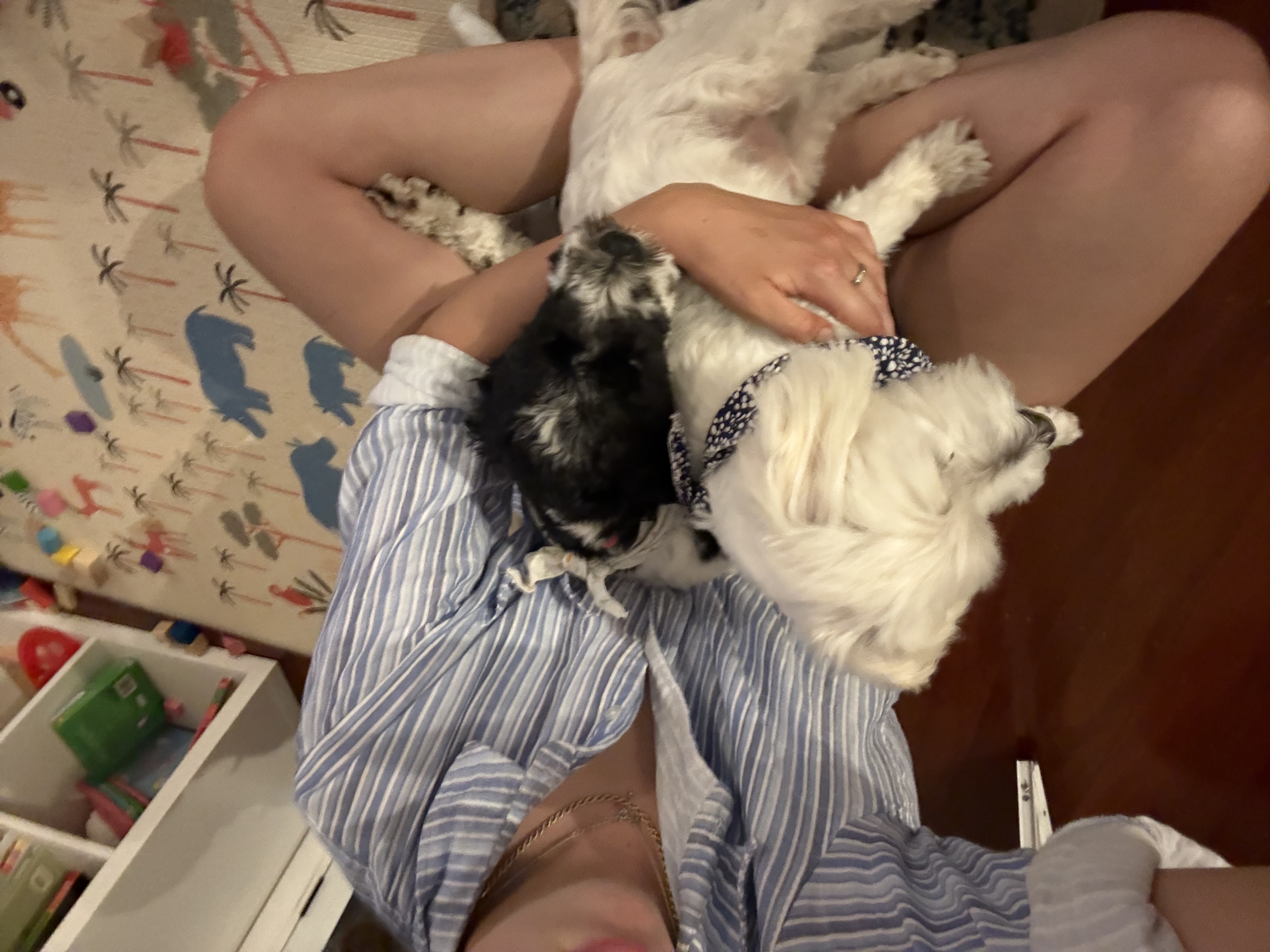 image-5