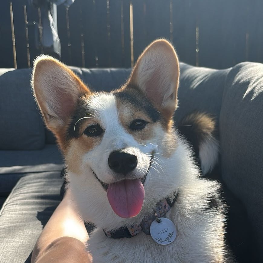 lilli