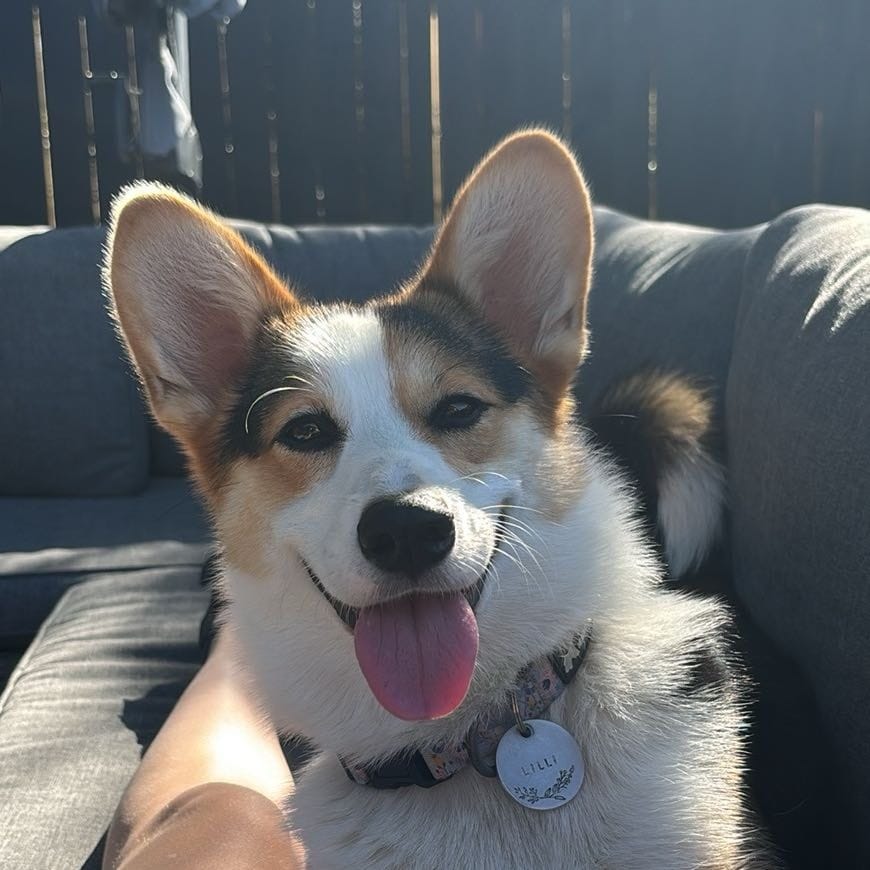 lilli