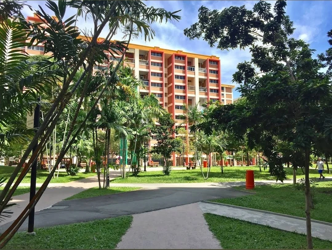 image-14