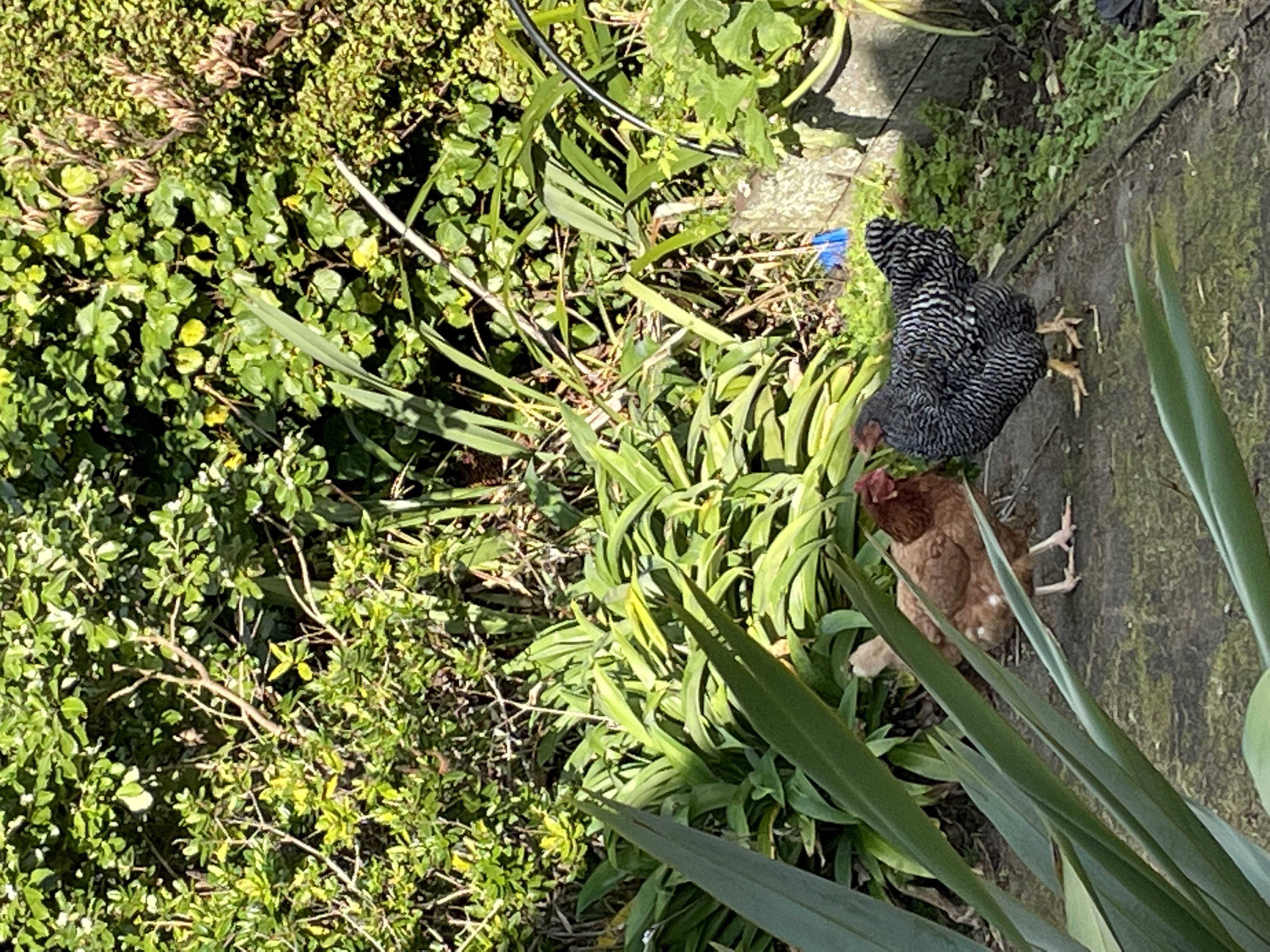image-13