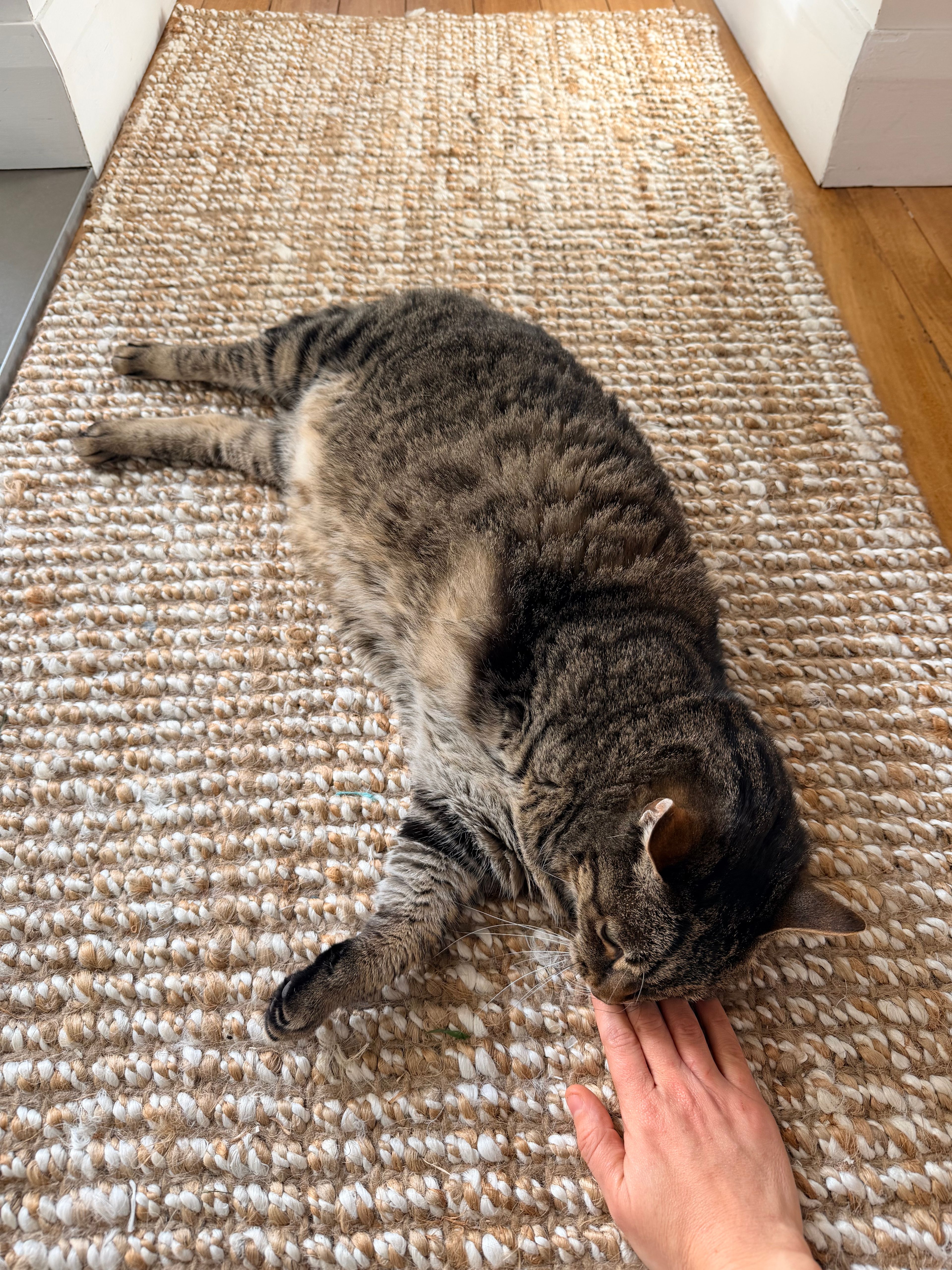 image-17
