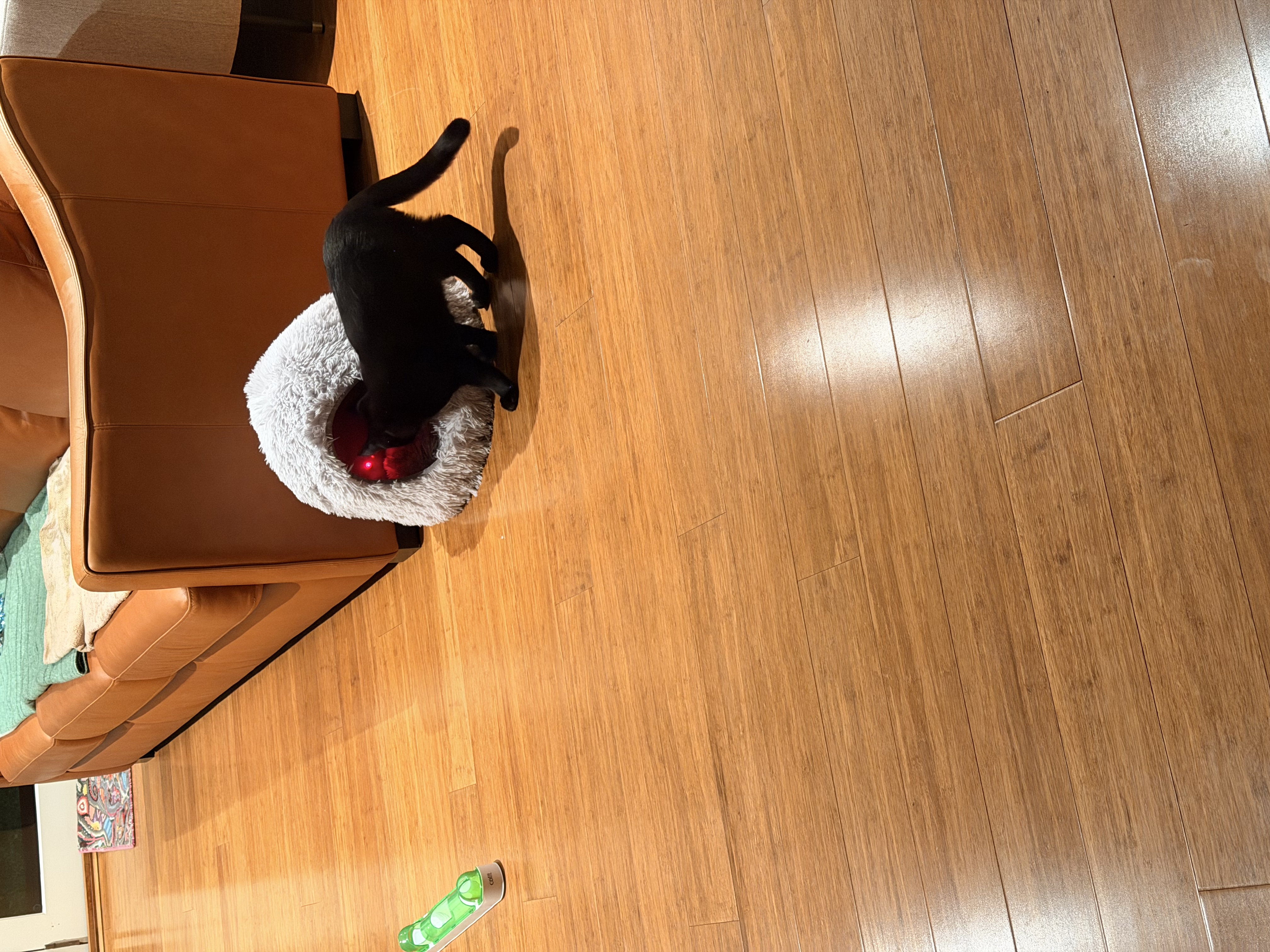 image-15