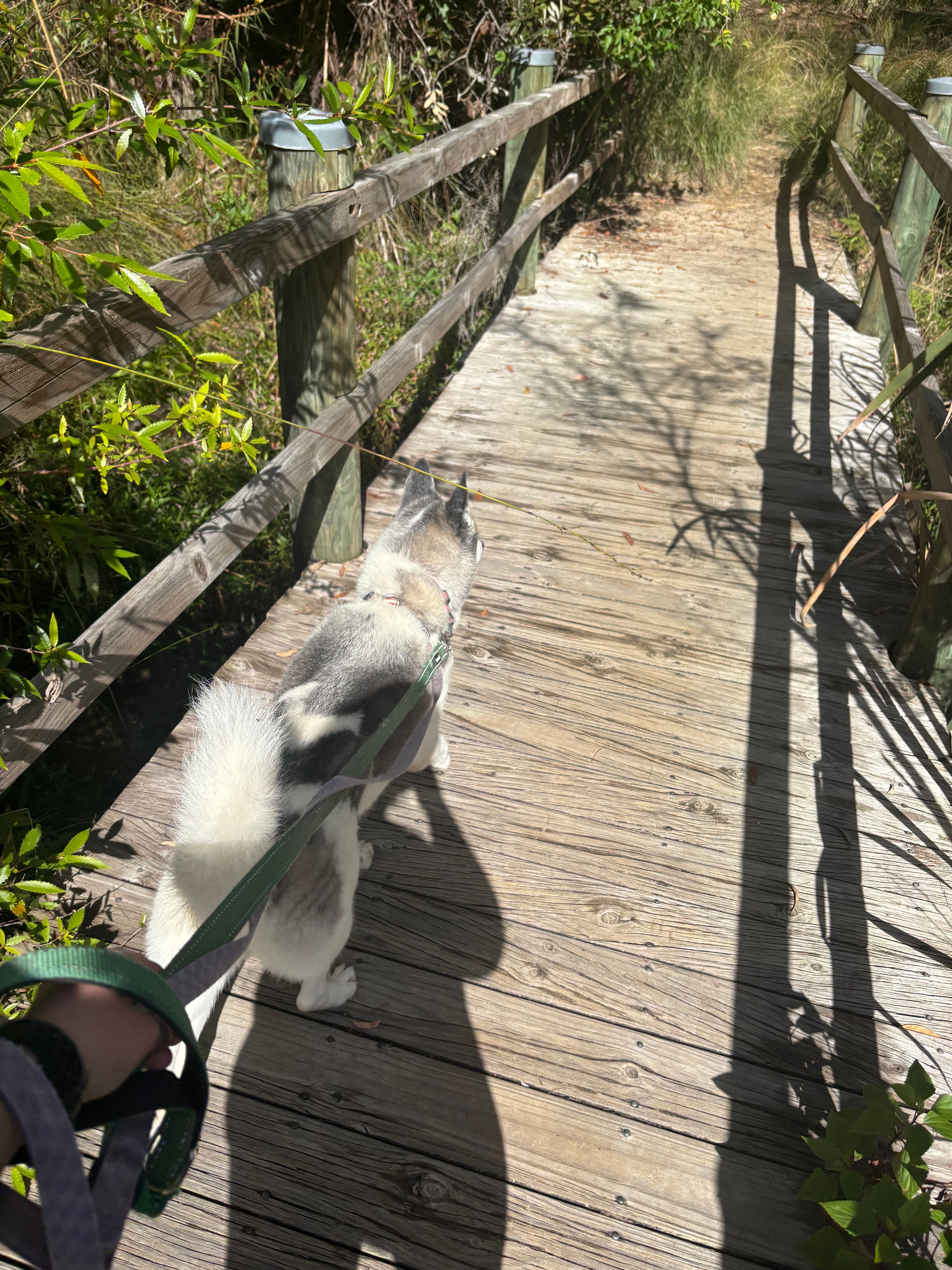 image-9